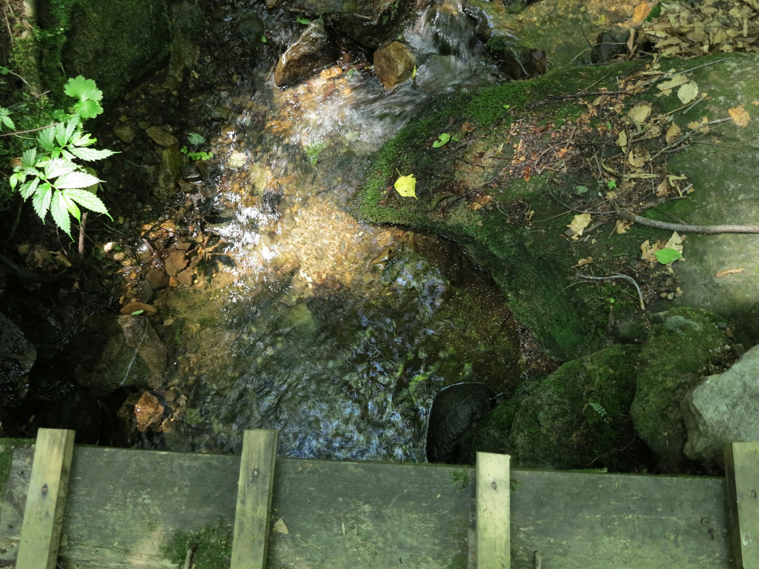 A view from above of a stream and wooden bridge in a lush green environment