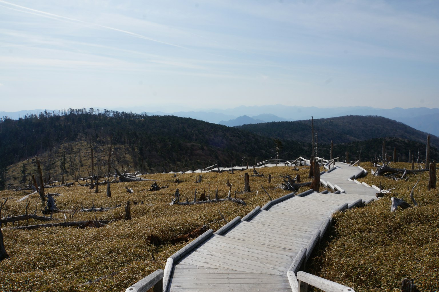 Vista escénica de un camino de madera que serpentea a través de un paisaje de hierba