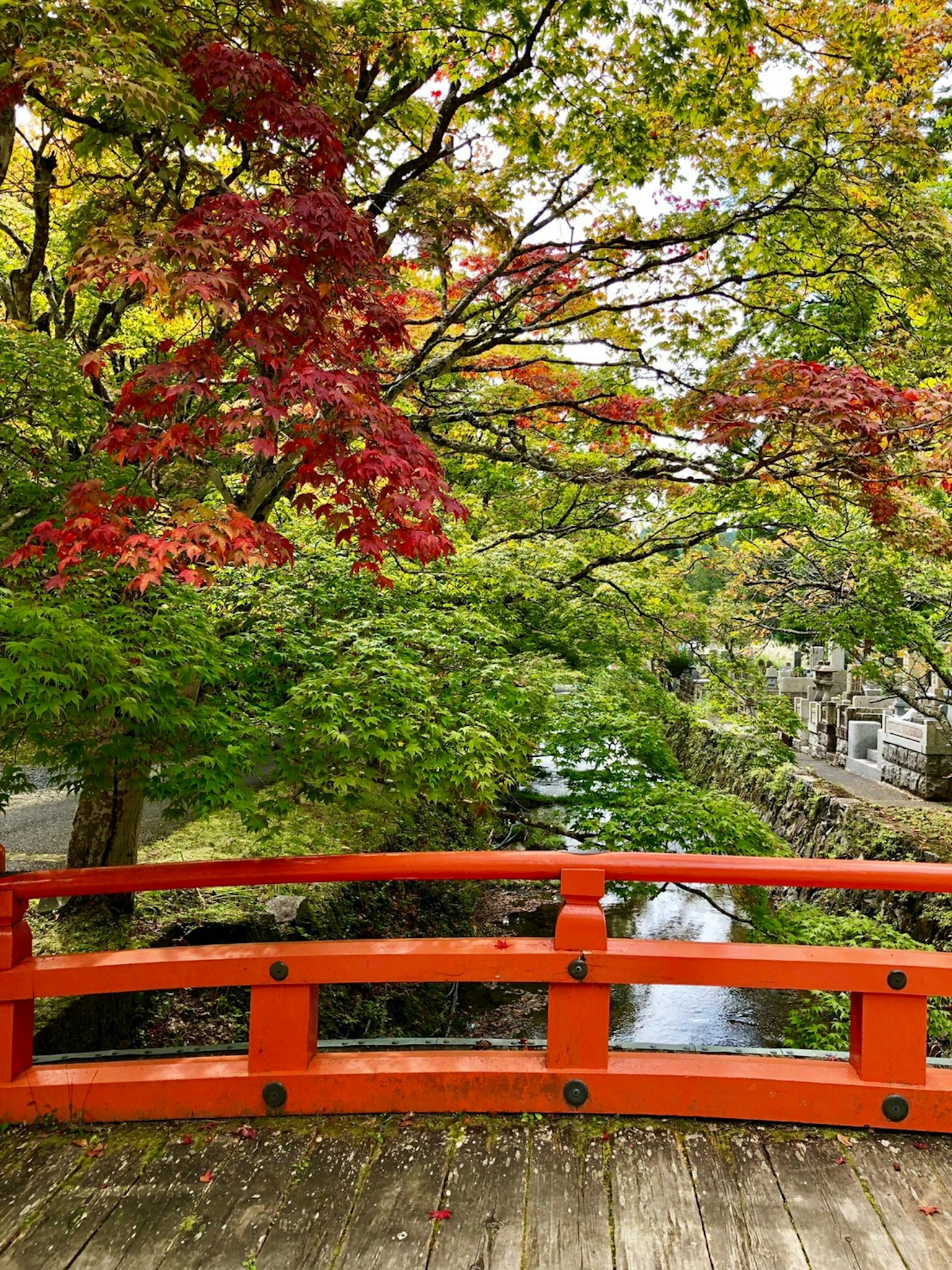 Vue pittoresque d'un pont rouge entouré de feuillage d'automne