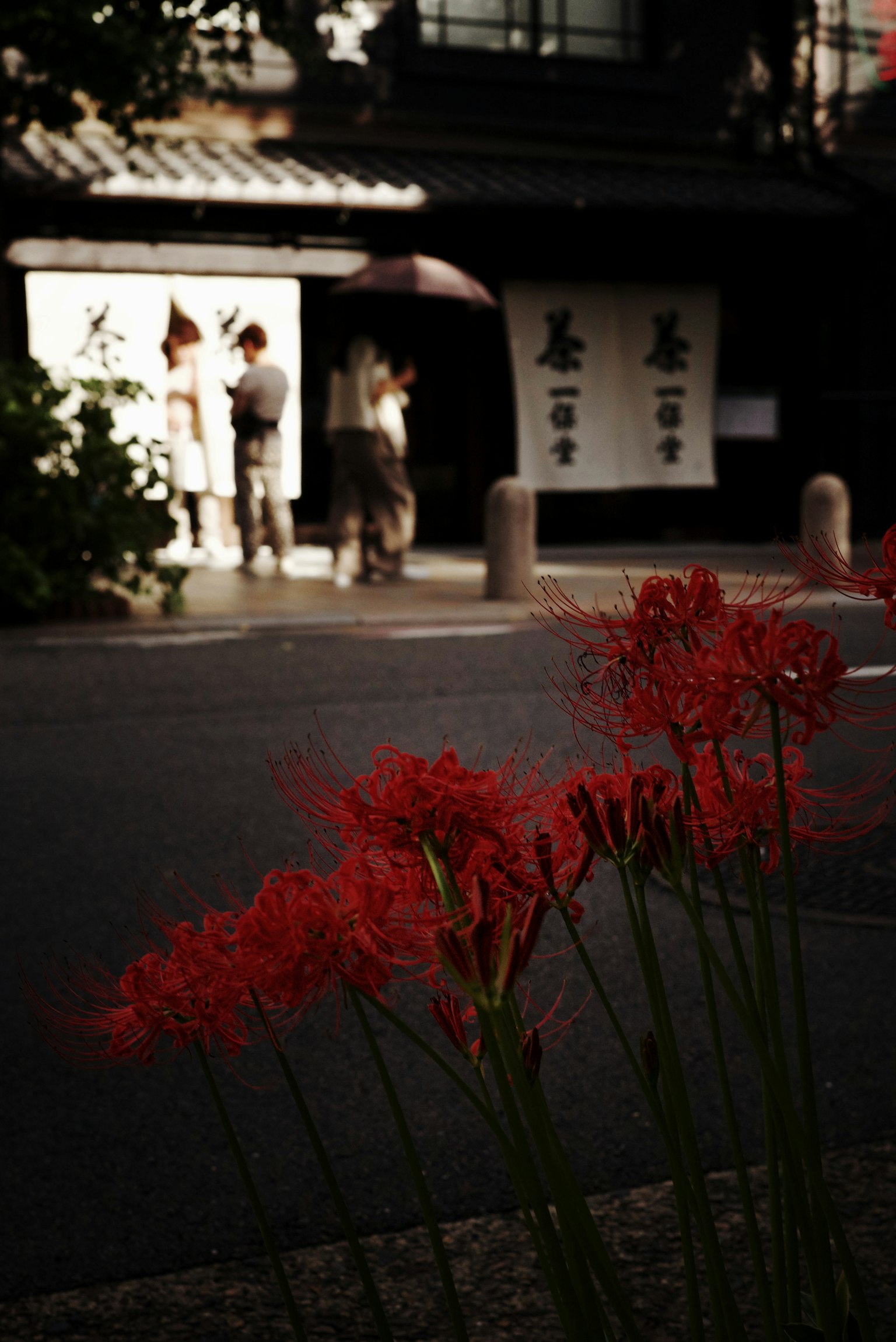 Bunga spider lily merah di latar depan dengan bangunan tradisional Jepang dan orang-orang yang memegang payung di latar belakang
