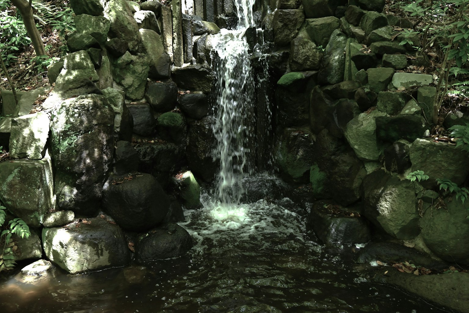 Una cascata serena circondata da vegetazione acqua che scorre su rocce