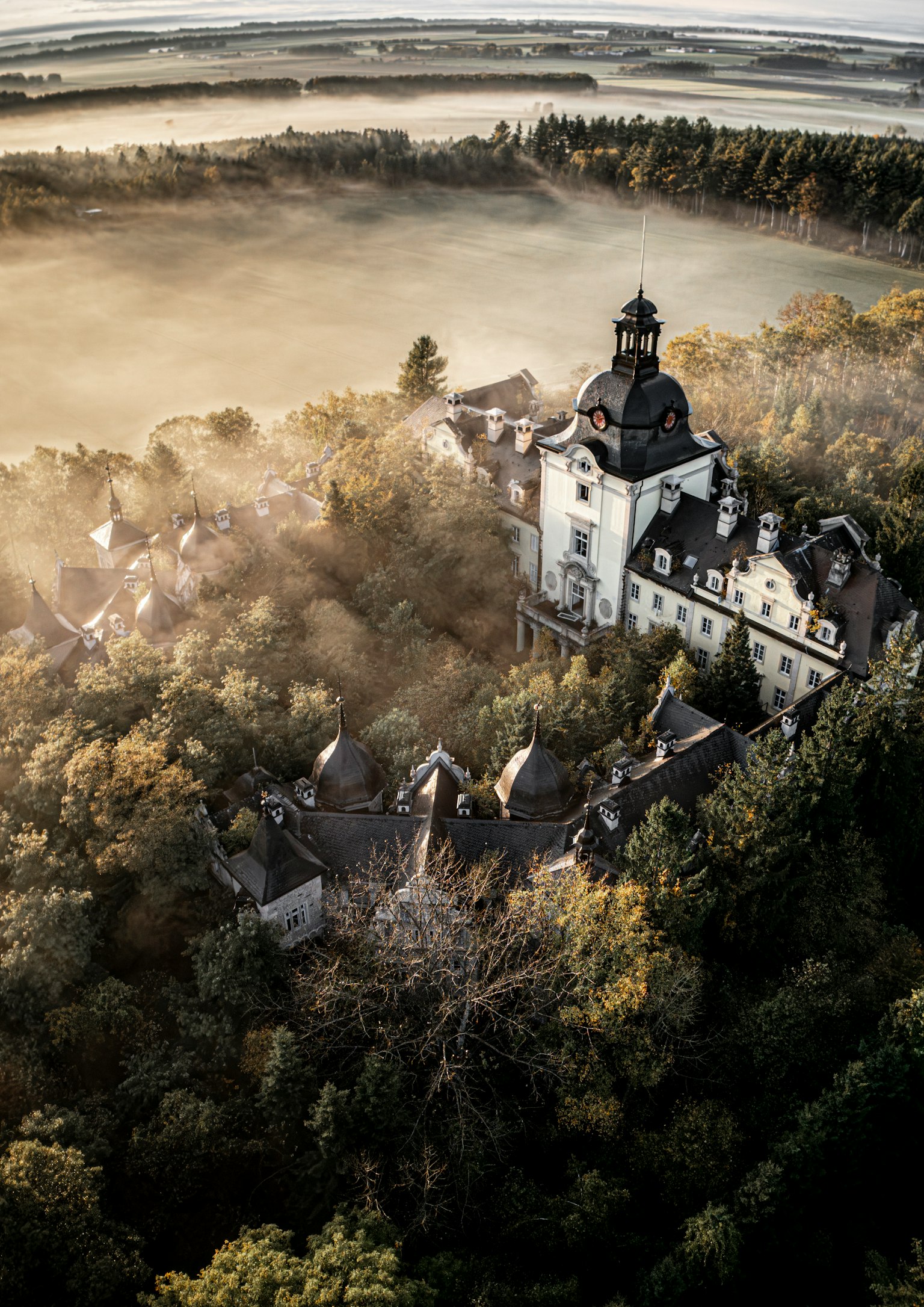 Vue aérienne d'un vieux château entouré d'une forêt brumeuse