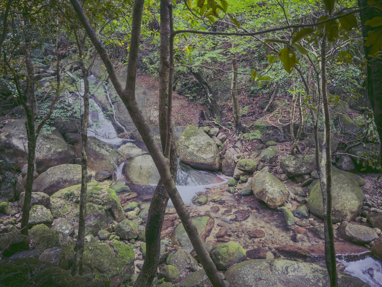 Un arroyo sereno rodeado de vegetación exuberante grandes rocas y una cascada al fondo