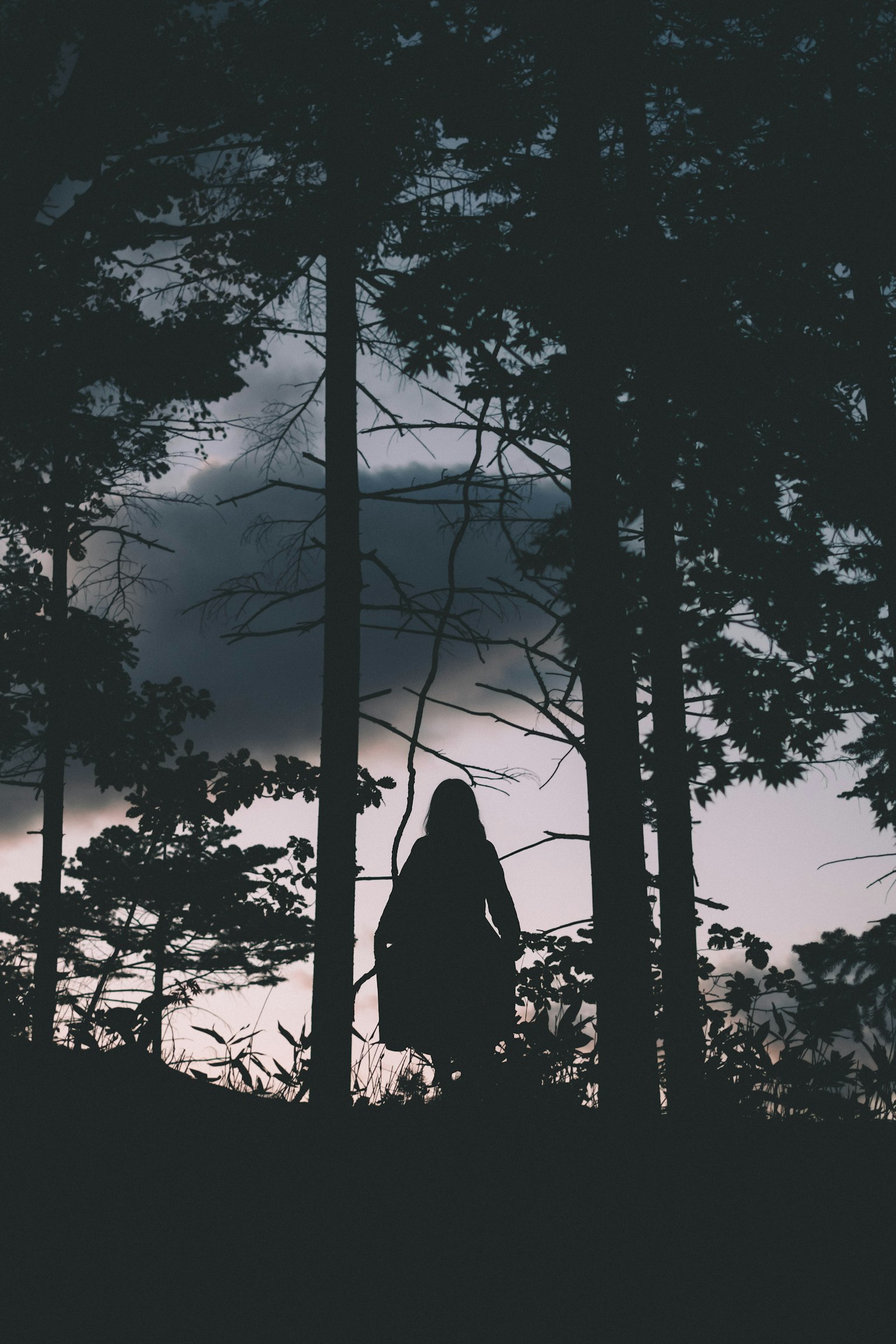 Silhouette di una donna in piedi in una foresta buia con cielo nuvoloso e alberi sullo sfondo