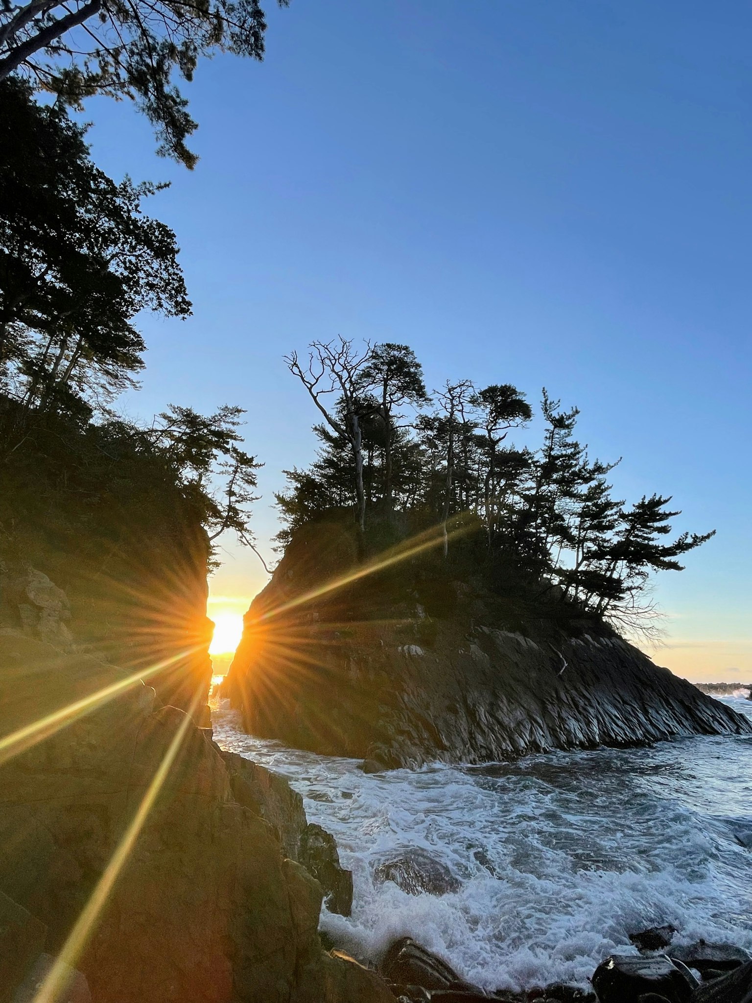 Coucher de soleil illuminant la côte rocheuse avec des arbres