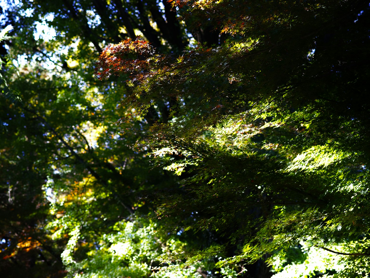 photo-R4K17xoyi0M6kfFEeYy4-image