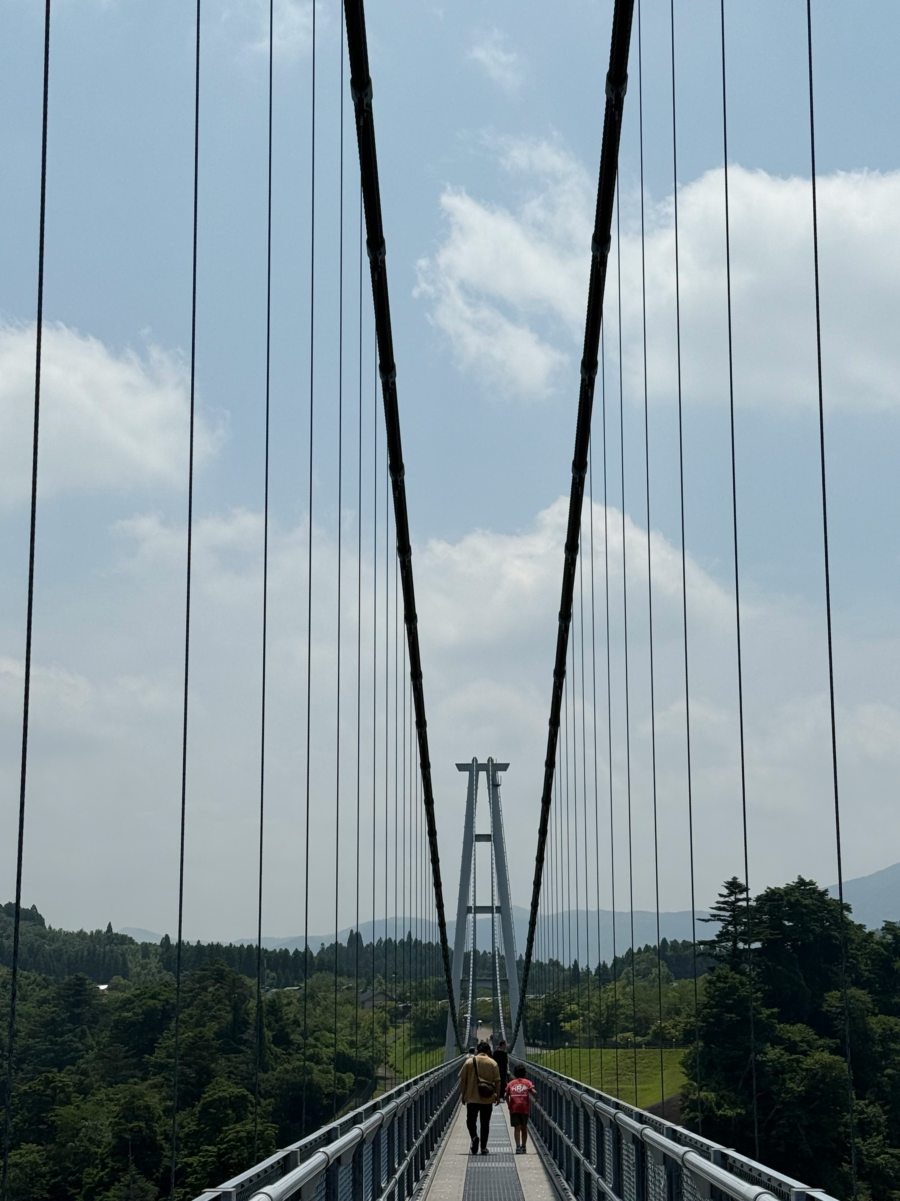 personnes marchant sur un pont suspendu avec vue sur des collines boisées