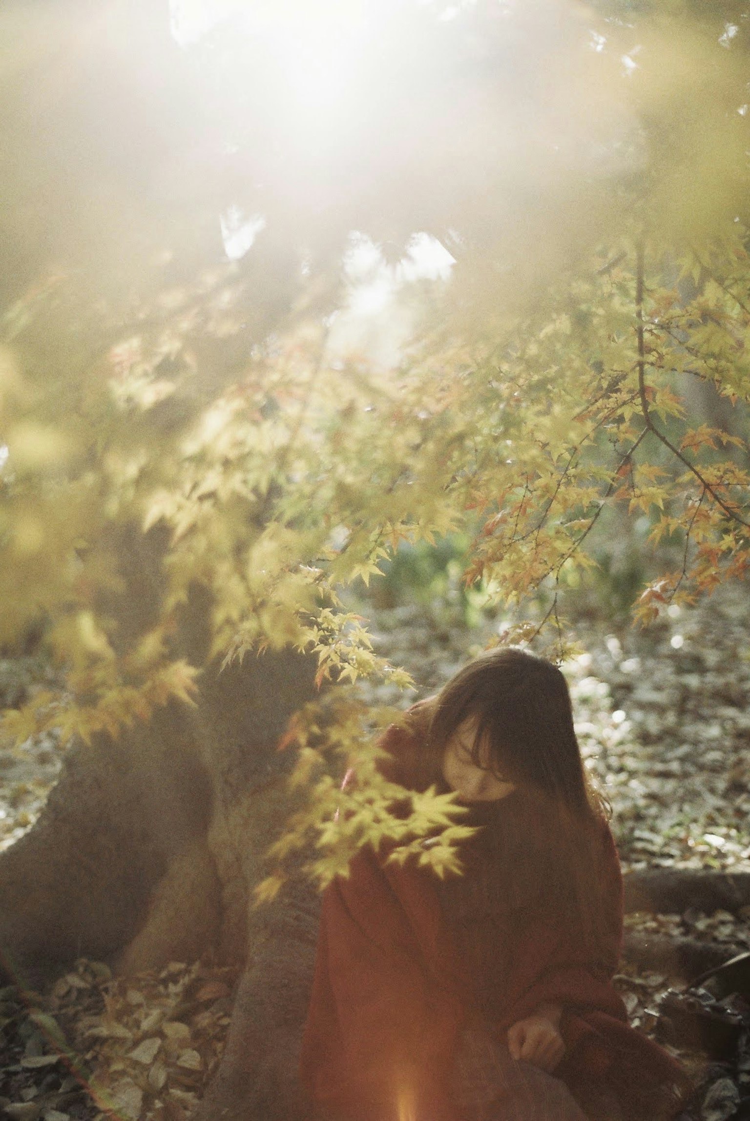 Woman leaning against a tree in autumn light