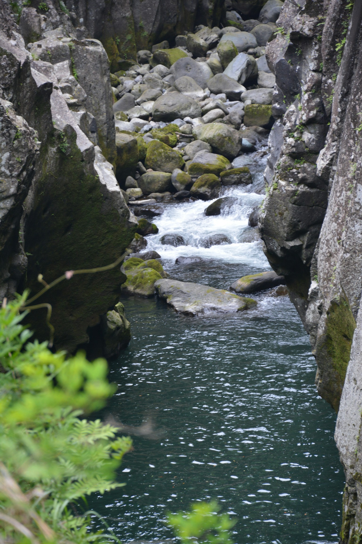 Une vue pittoresque d'un ruisseau coulant entre des falaises rocheuses avec une végétation verte