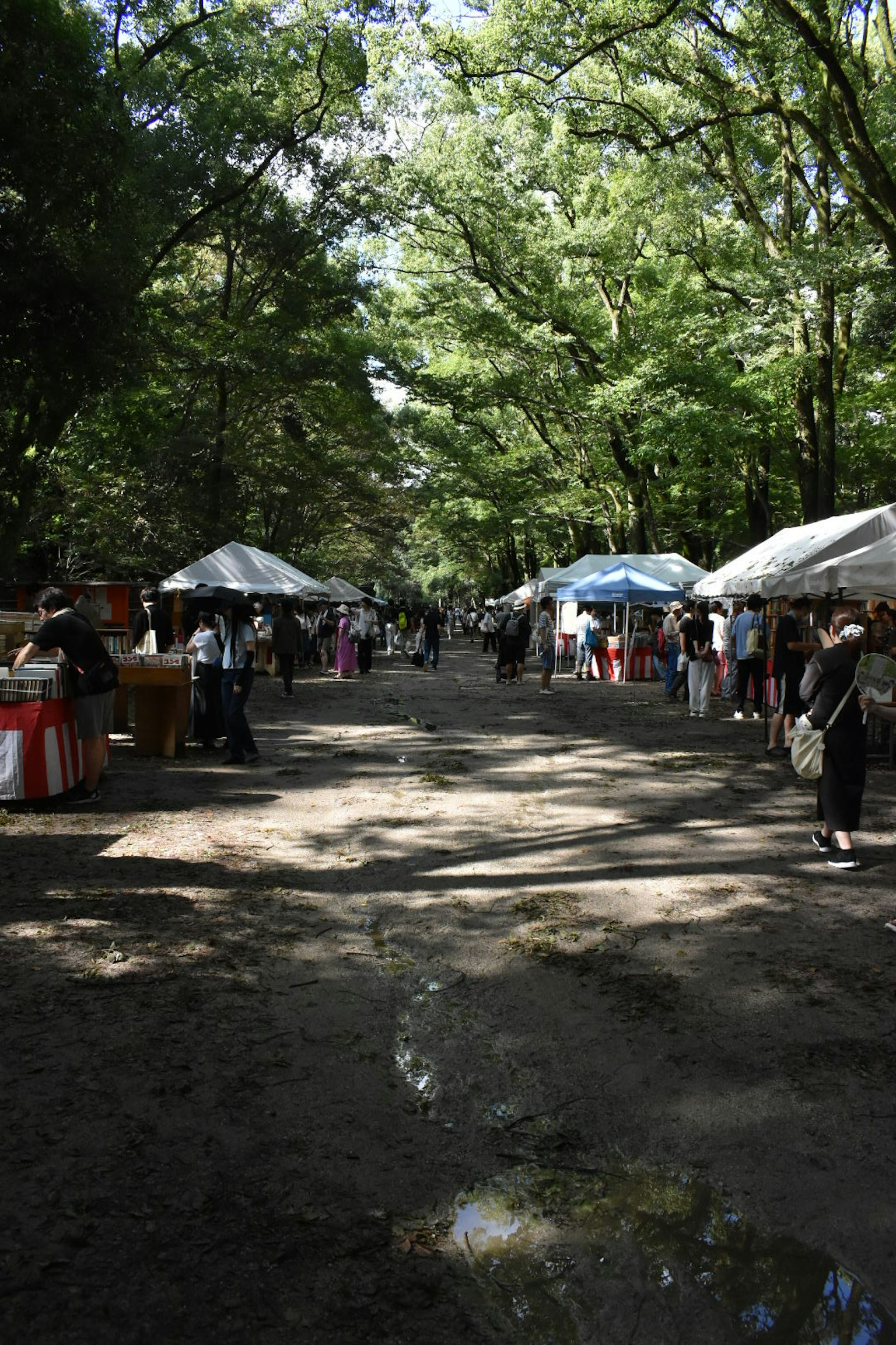 Rue de marché en plein air bordée de tentes et de visiteurs entourée d'arbres verts