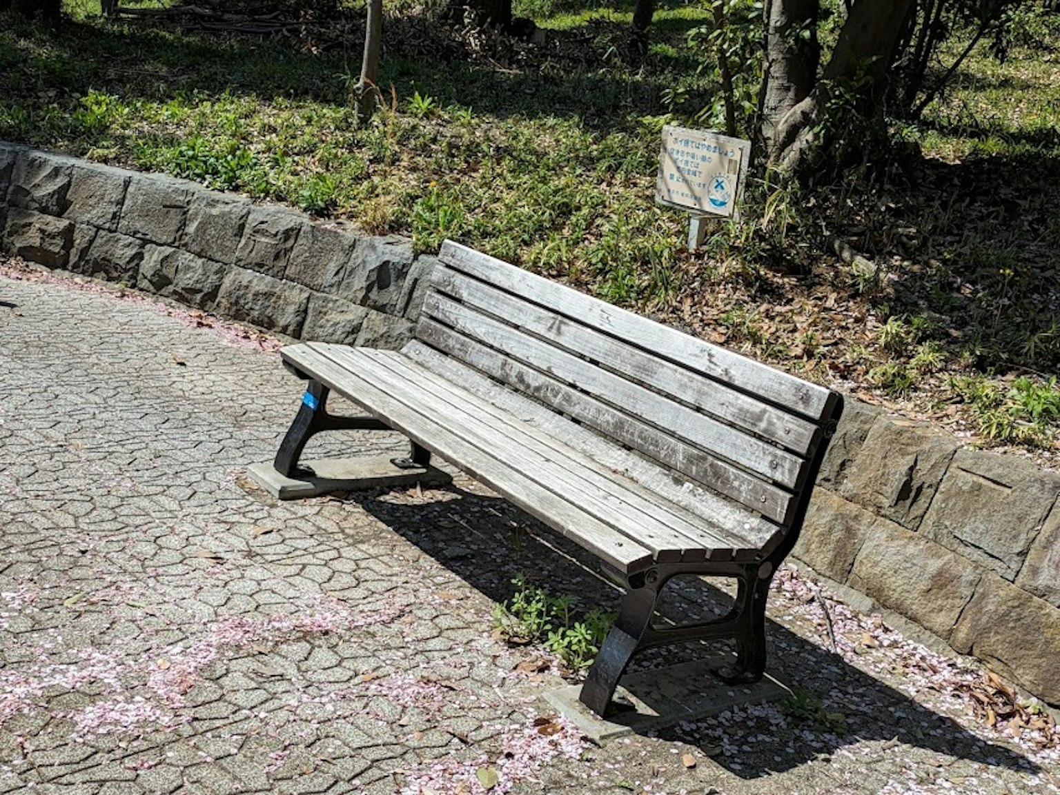 A wooden park bench on a cracked pathway surrounded by greenery