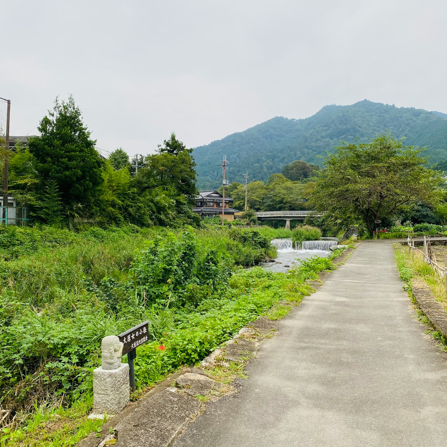 乡村风景，有一条沿河的小路和郁郁葱葱的绿色植物