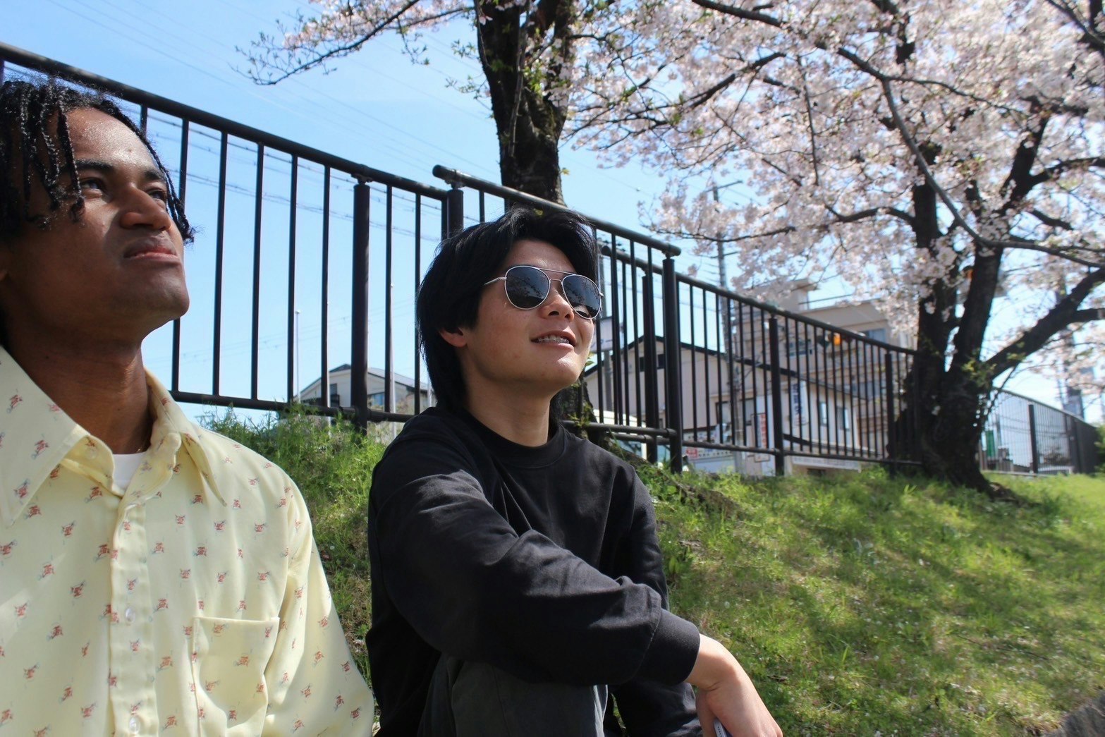 桜の木の下でベンチに座る2人の人物