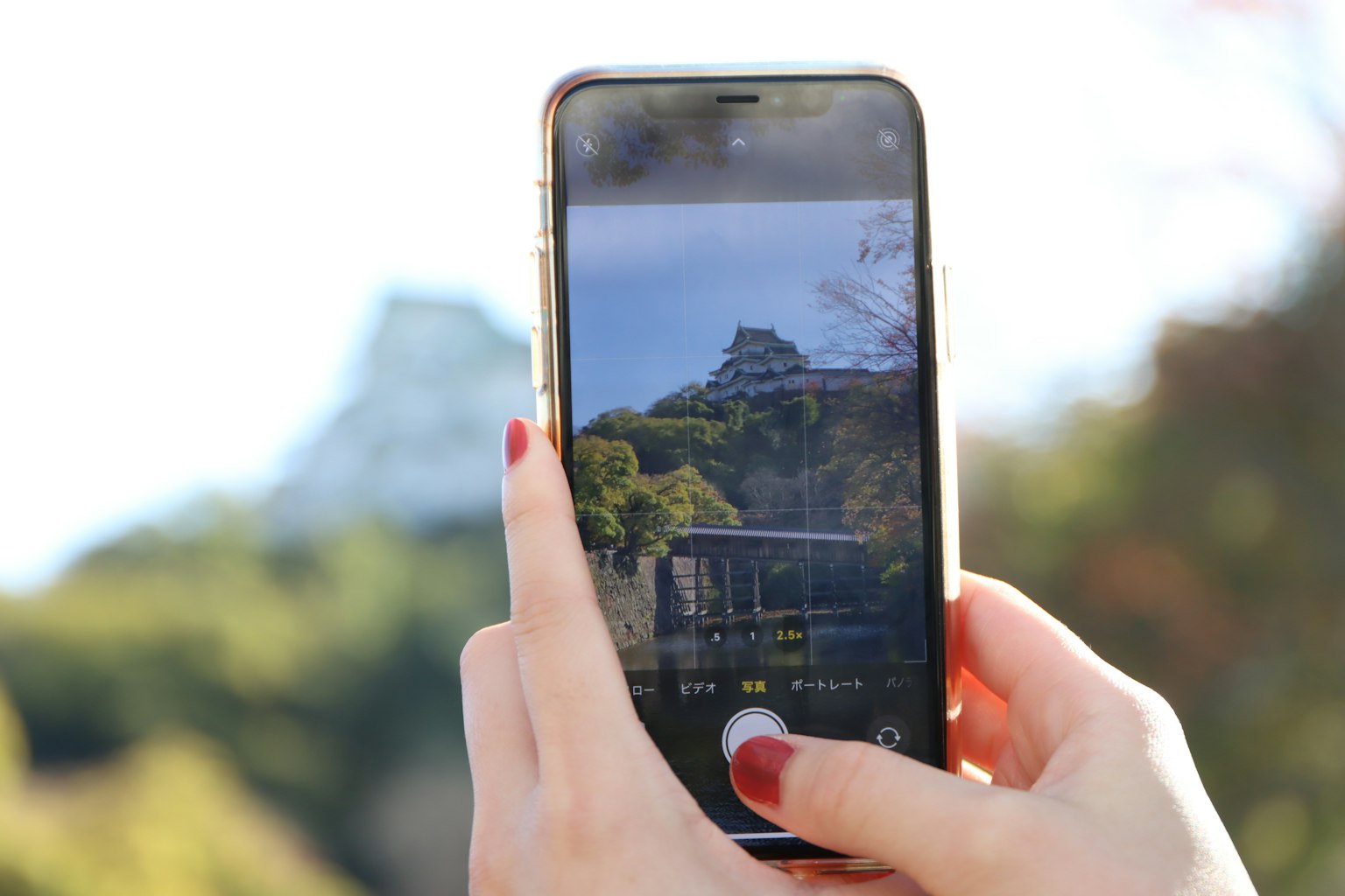 Eine Hand, die ein Smartphone hält und eine Landschaft aufnimmt