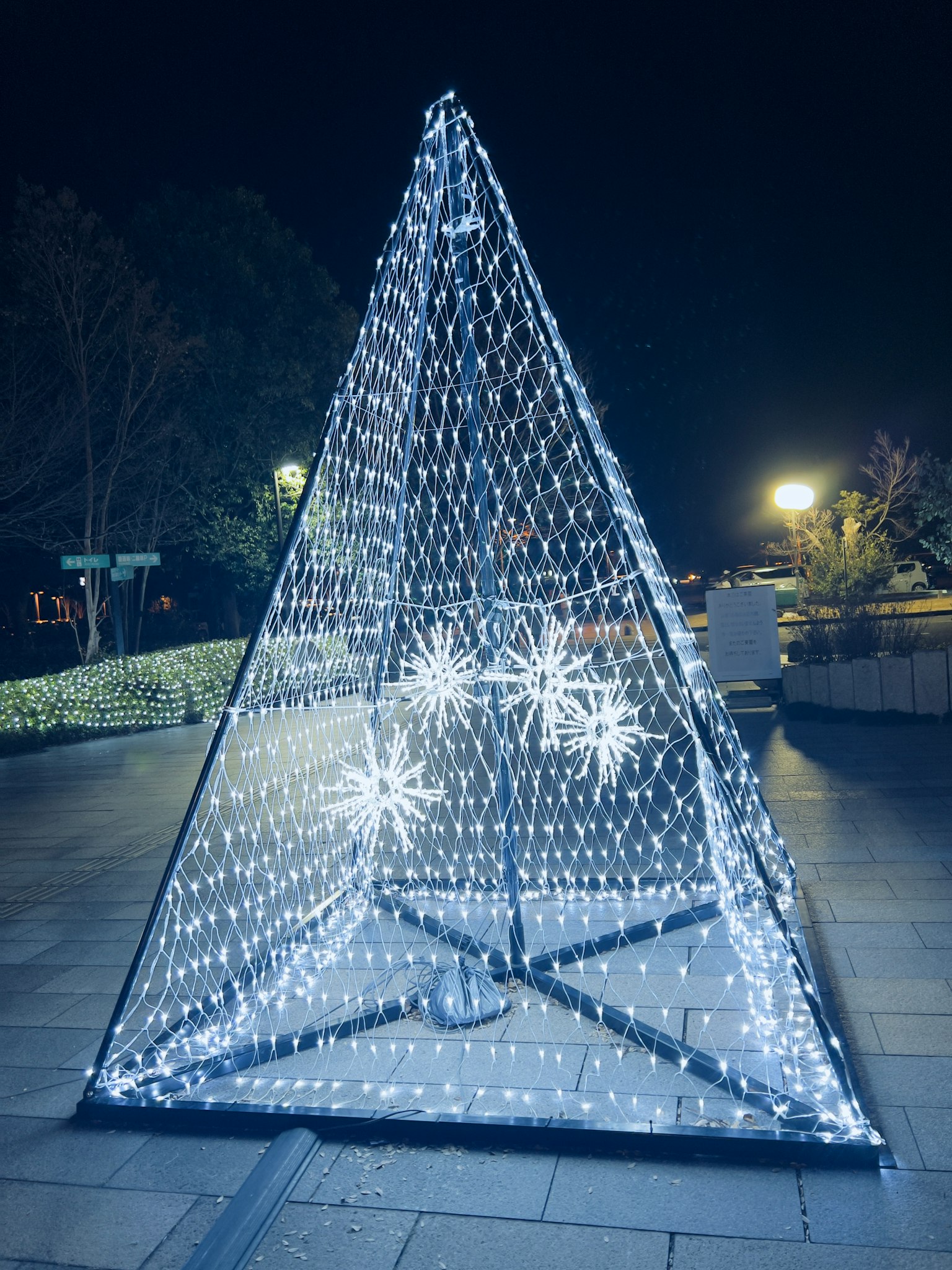 Illuminated Christmas tree display in a park at night