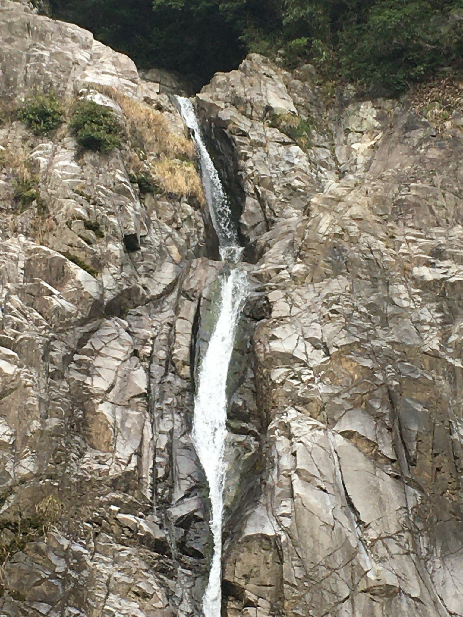 Cascada que cae por acantilados rocosos rodeados de vegetación