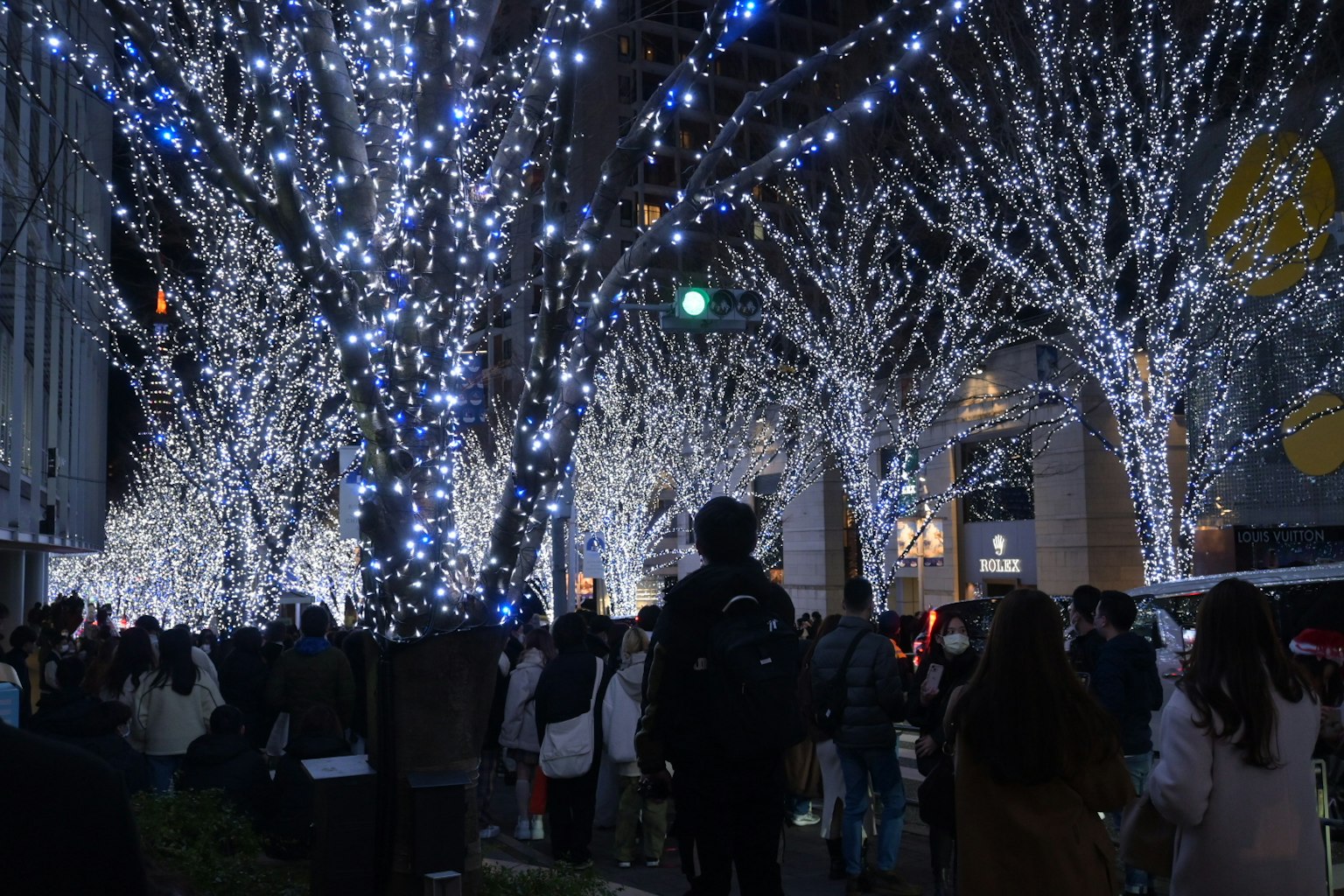 Scena notturna con alberi decorati con luci blu e bianche e una folla di persone
