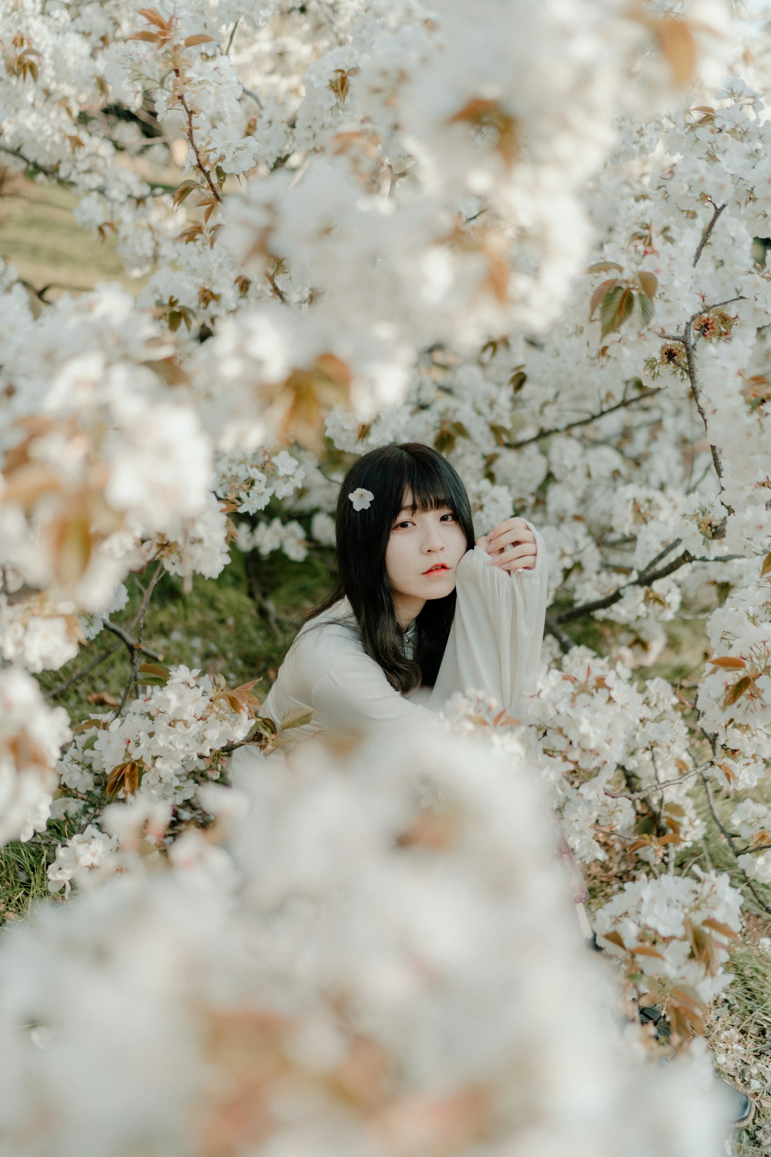 被白花环绕的女性肖像