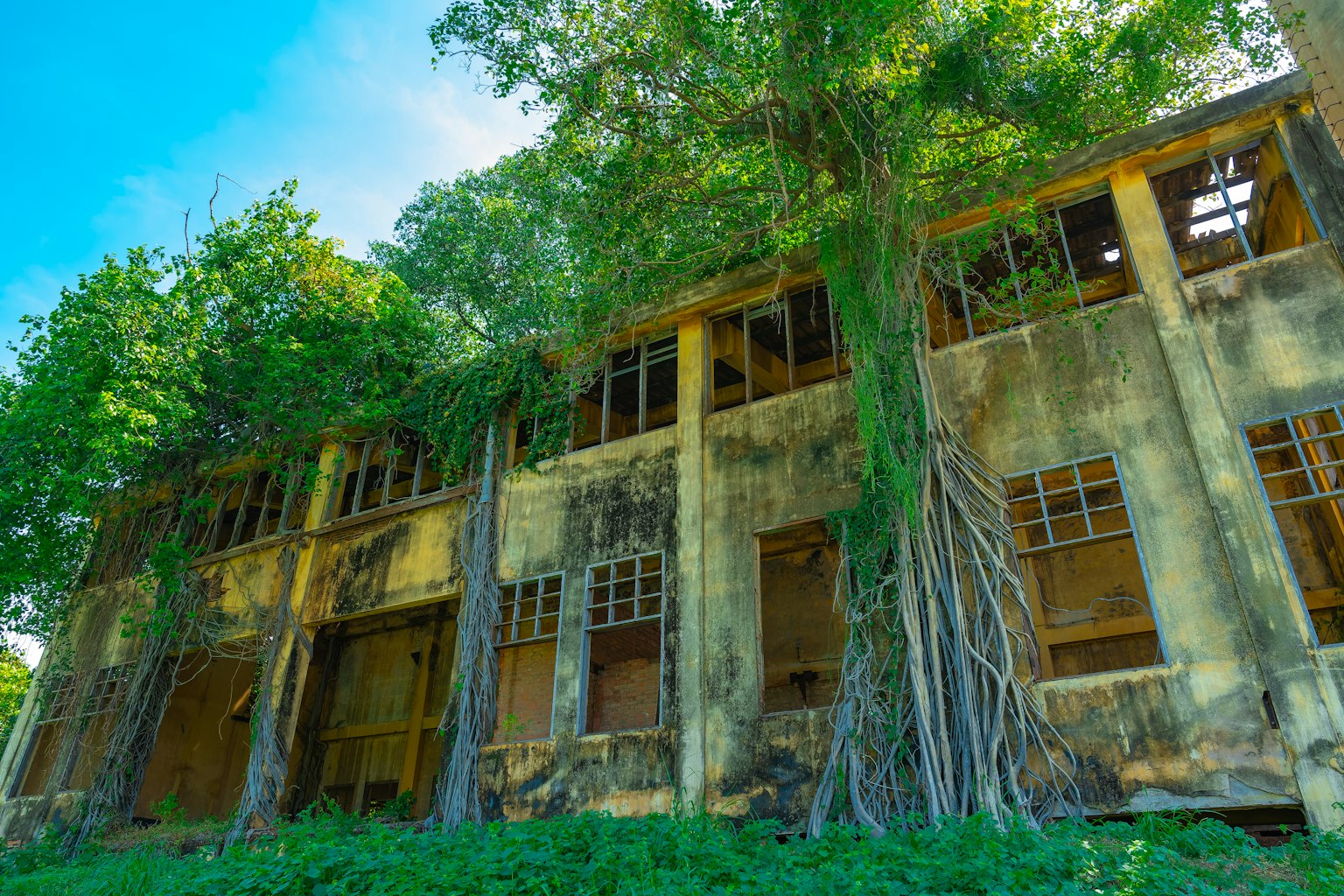 Texture grigia semplice su uno sfondo scuro