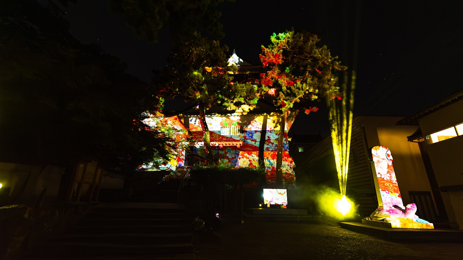 夜景中有建築物被五彩斑斕的光影照亮和周圍的樹木