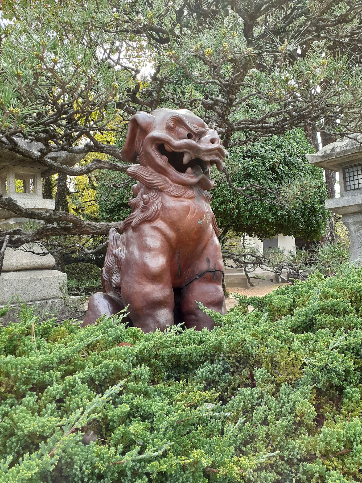 Escultura de león marrón de pie entre setos verdes