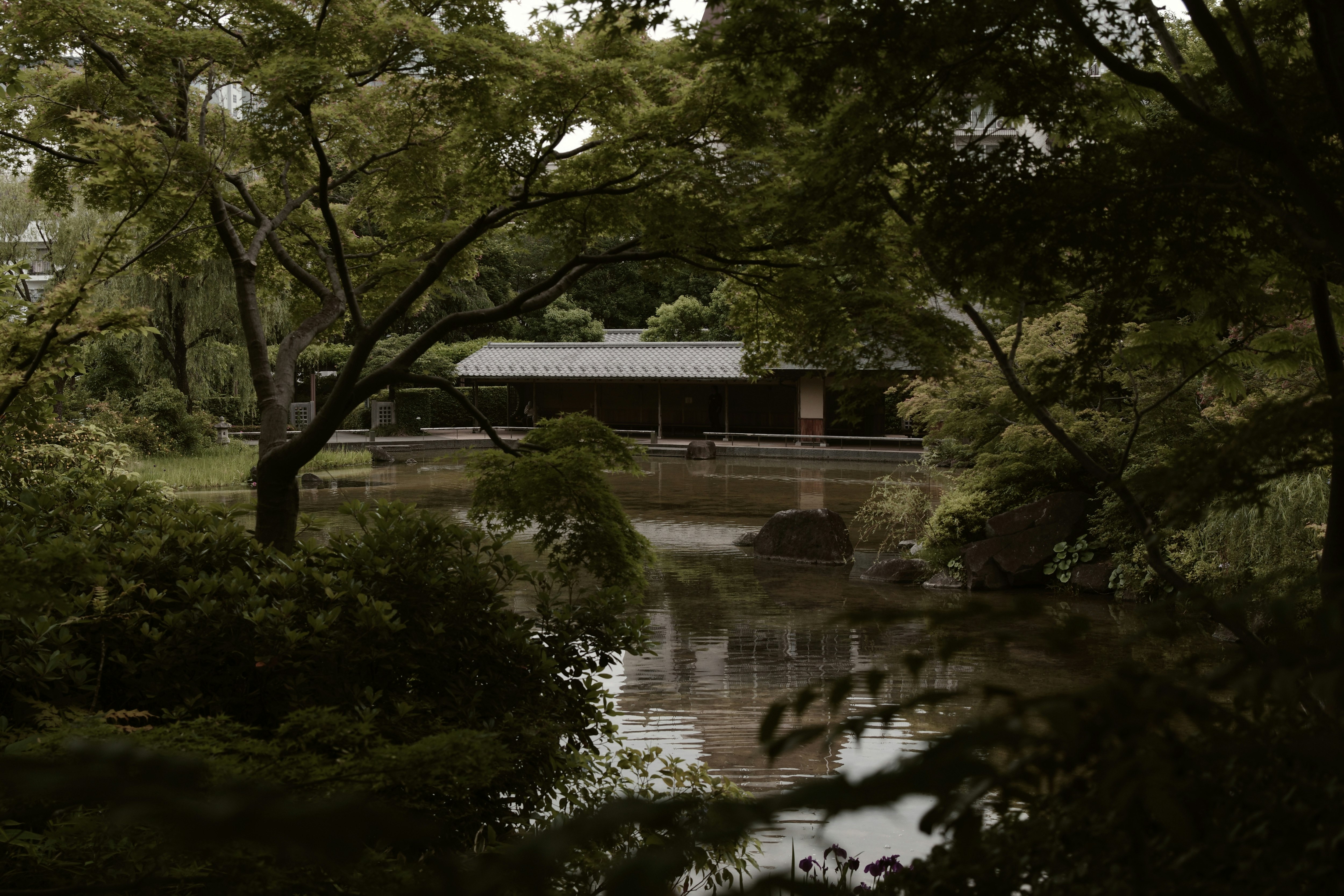 檜町公園の日本庭園の池と木々の風景