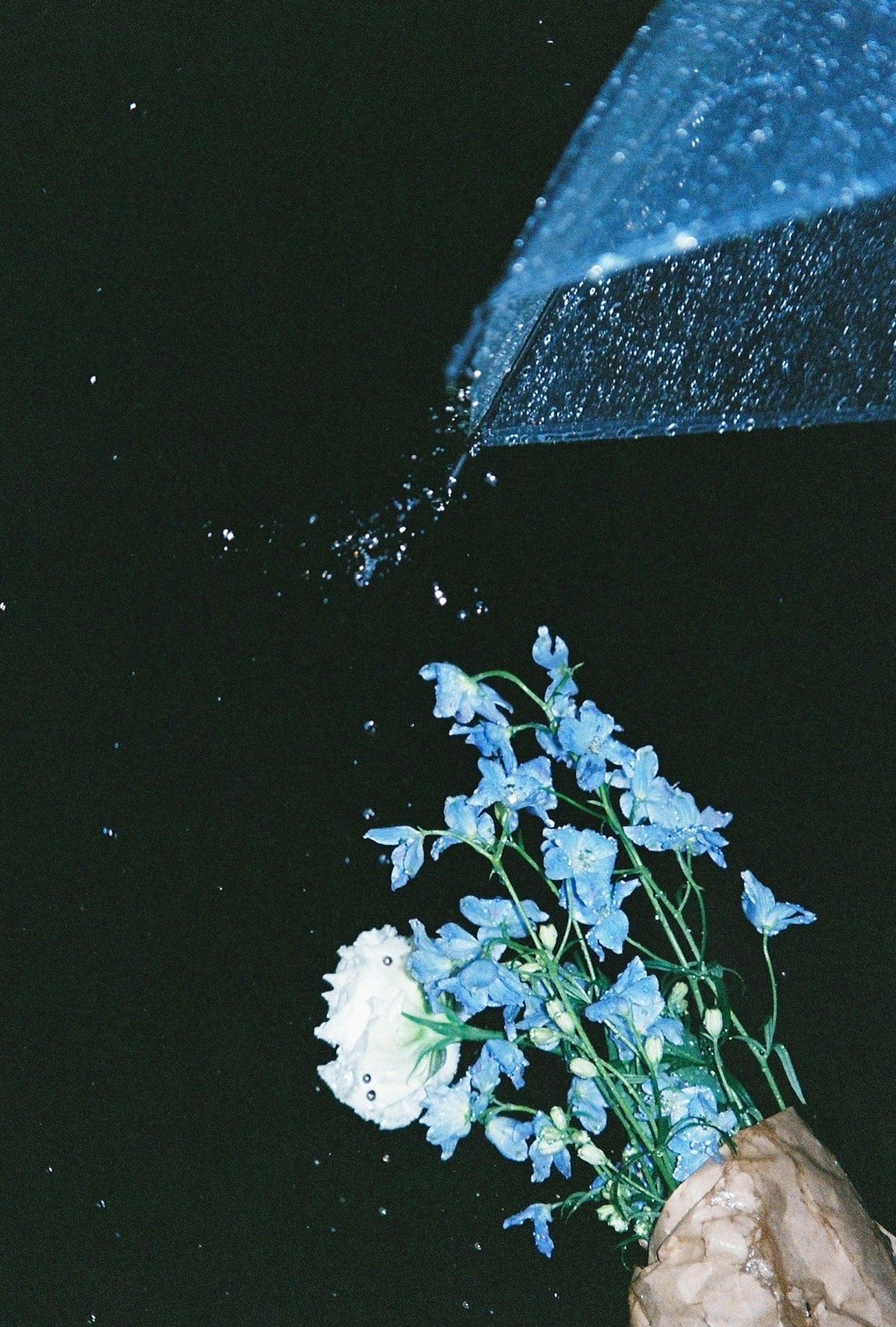A beautiful scene of a blue flower bouquet and a white flower touching water