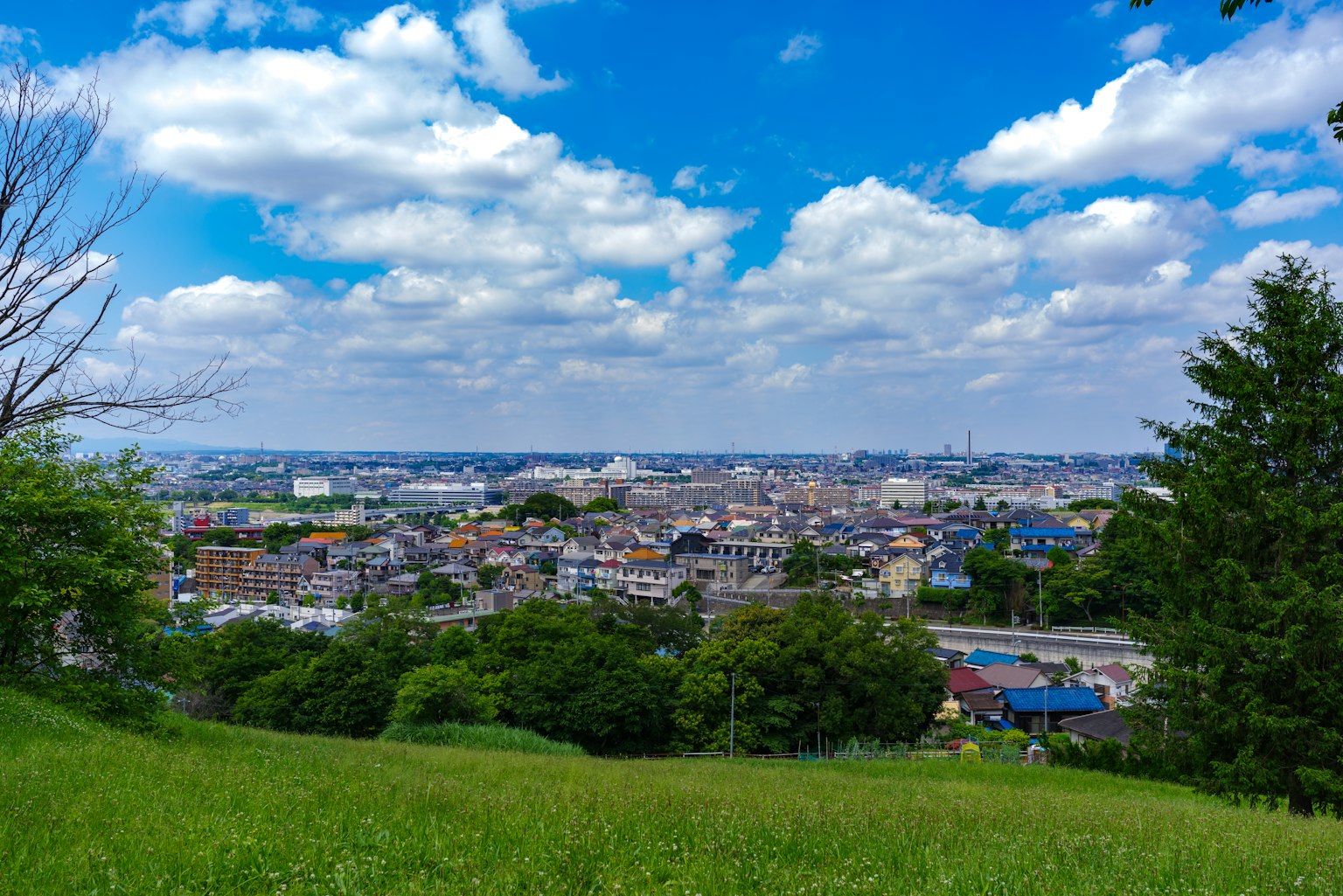 Vista panorámica de una ciudad bajo un cielo azul con nubes blancas desde una colina verde