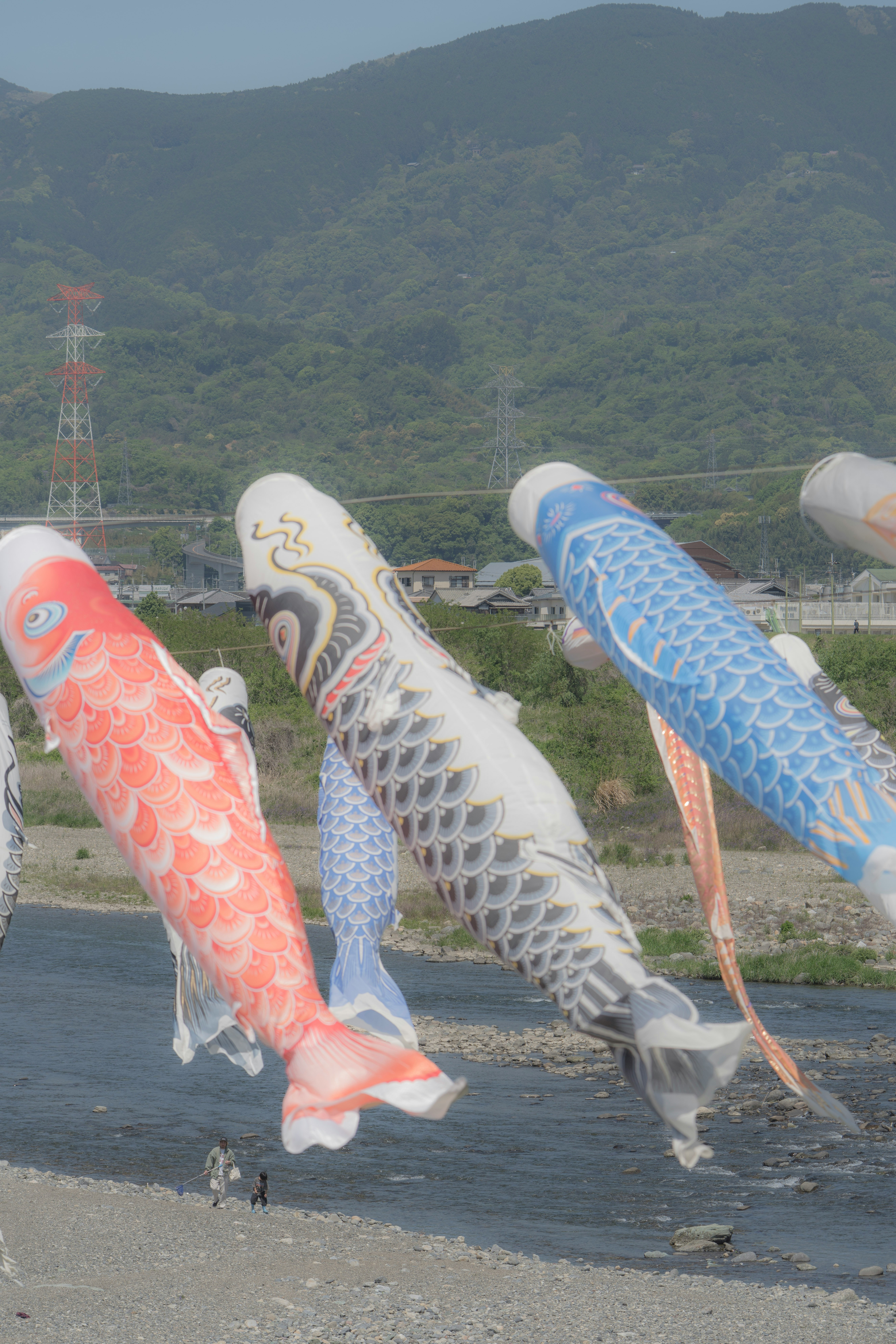 海辺の砂浜に泳ぐ鯉のぼりと山並み