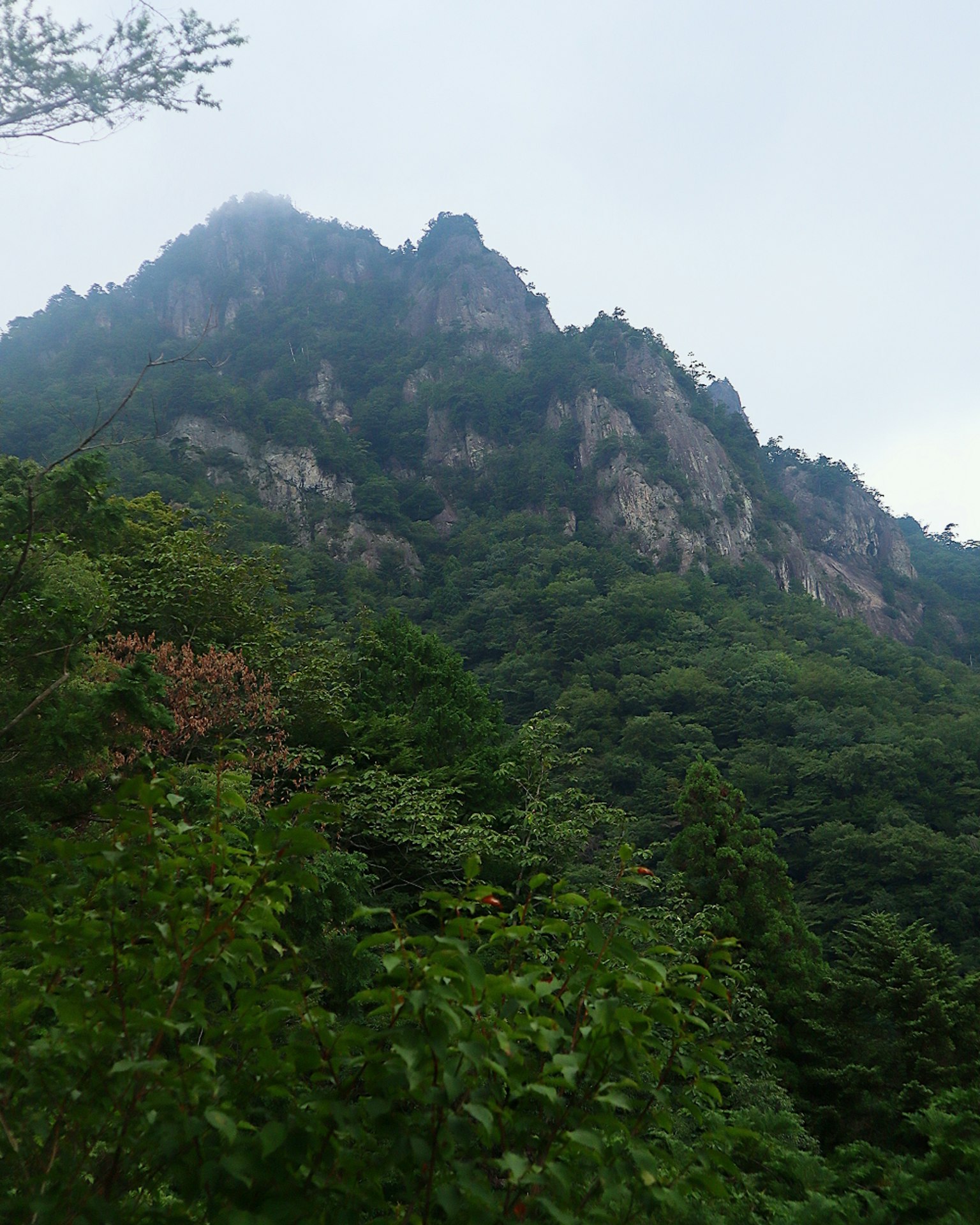 Paysage de montagne luxuriant avec un sommet brumeux entouré d'une dense végétation