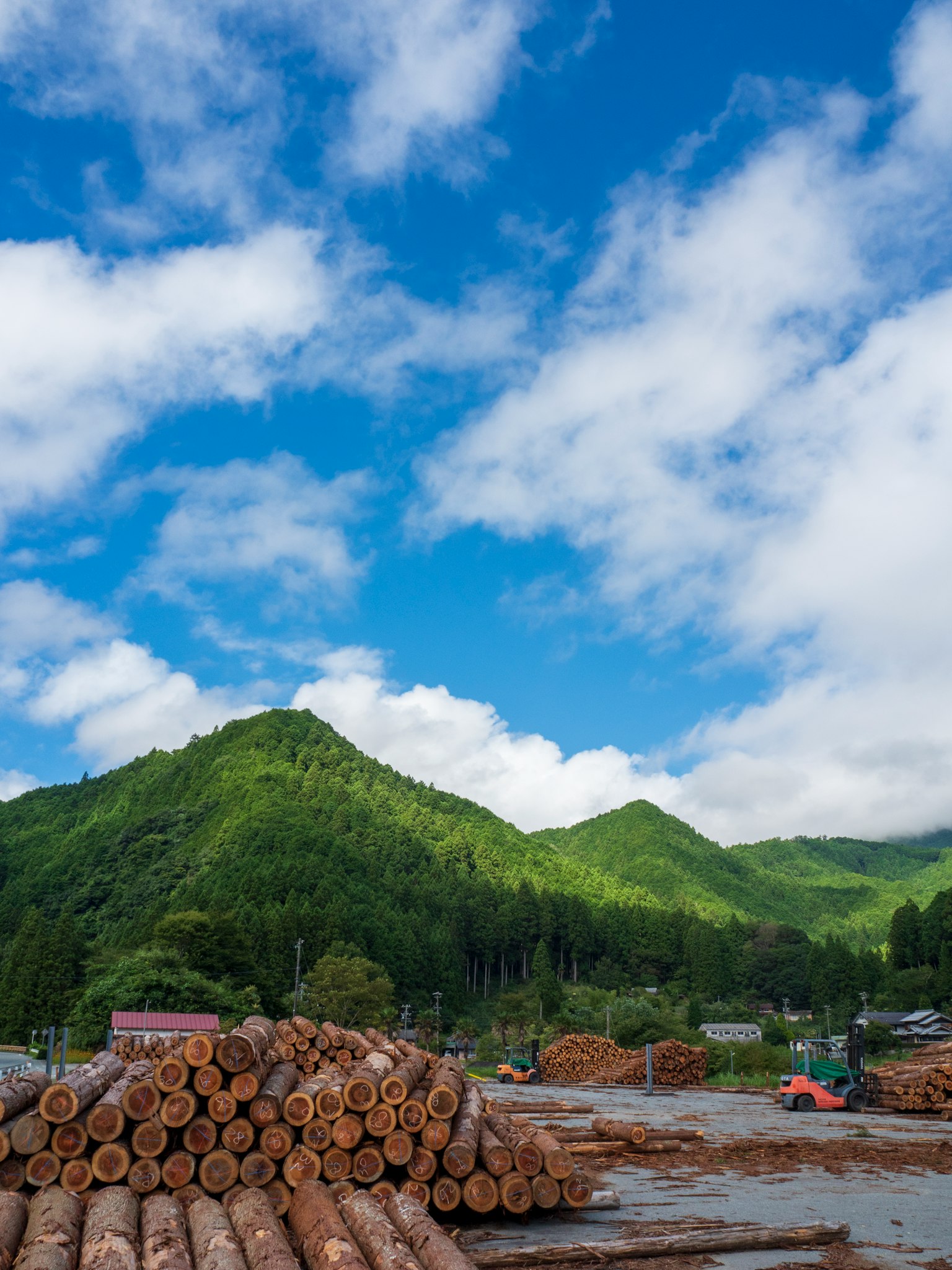 Mucchi di legna sotto montagne verdi e cielo blu