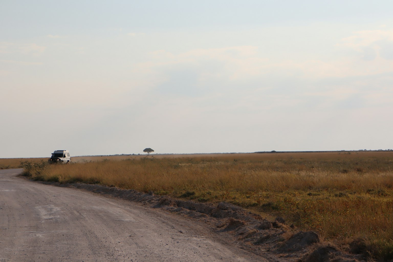 Un paisaje de pradera seca con vehículos a lo lejos