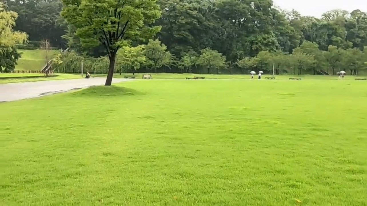 綠草坪與樹木環繞的公園步道