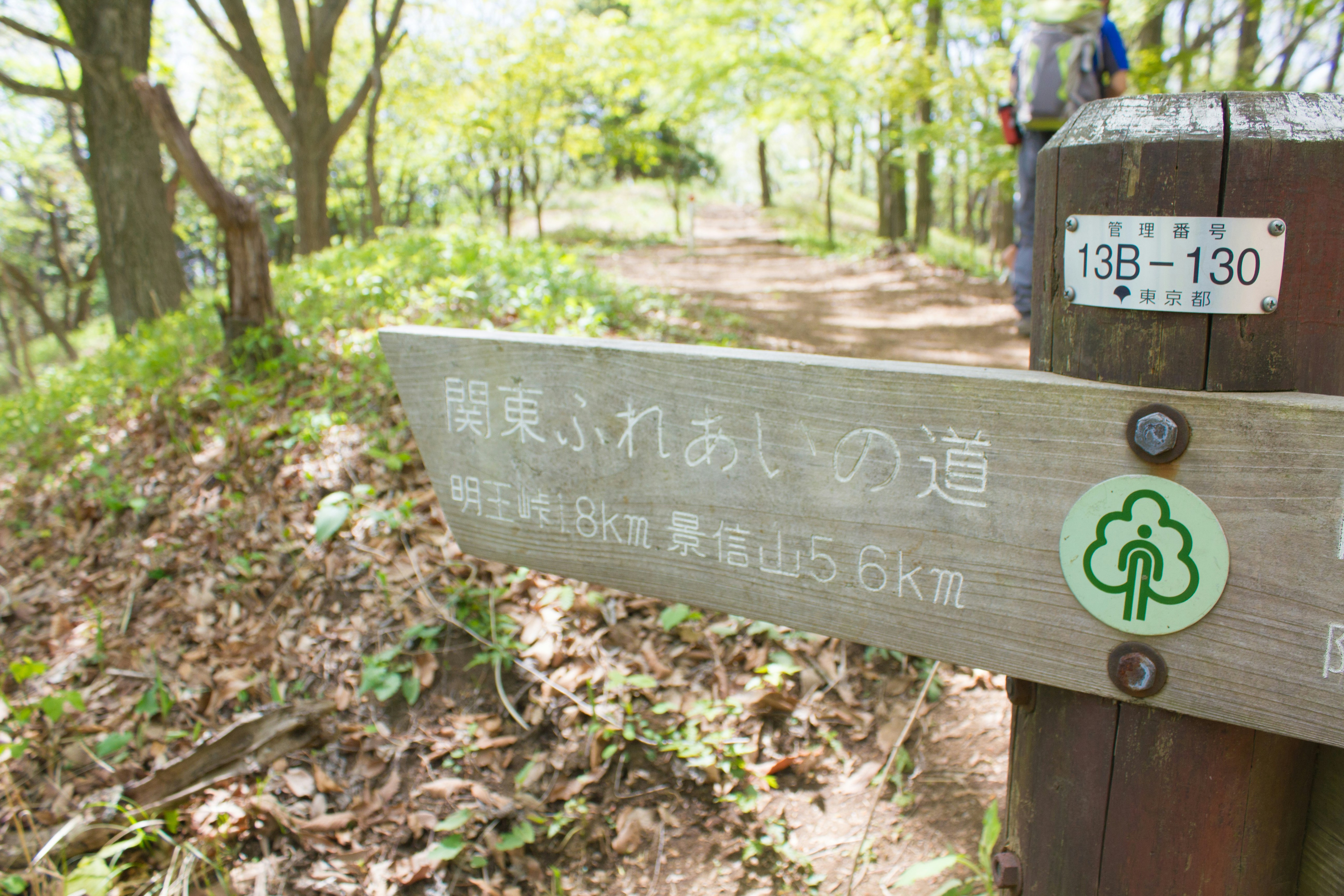 Forest trail with distance marker and directional sign