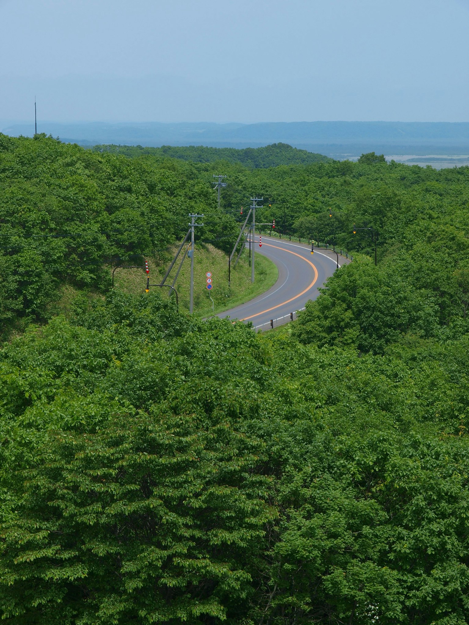 Kurvenreiche Straße umgeben von Grün mit Blick auf den Ozean in der Ferne