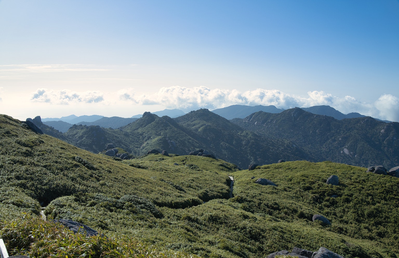 Panorama di montagne e cielo blu con campi verdi lussureggianti