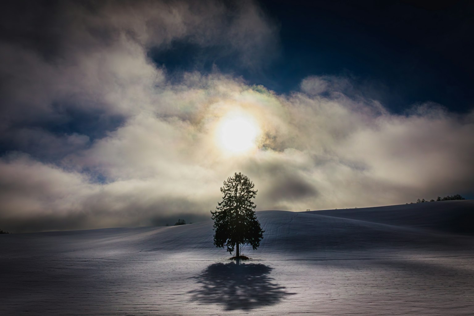 Un árbol solitario en un paisaje nevado con su sombra y un sol brillante detrás de las nubes