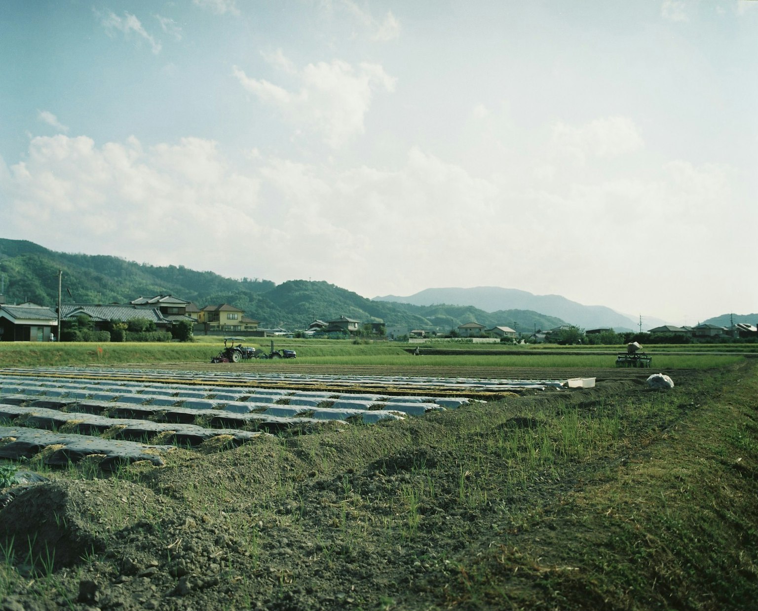 Pemandangan pedesaan yang tenang dengan ladang hijau dan gunung di kejauhan