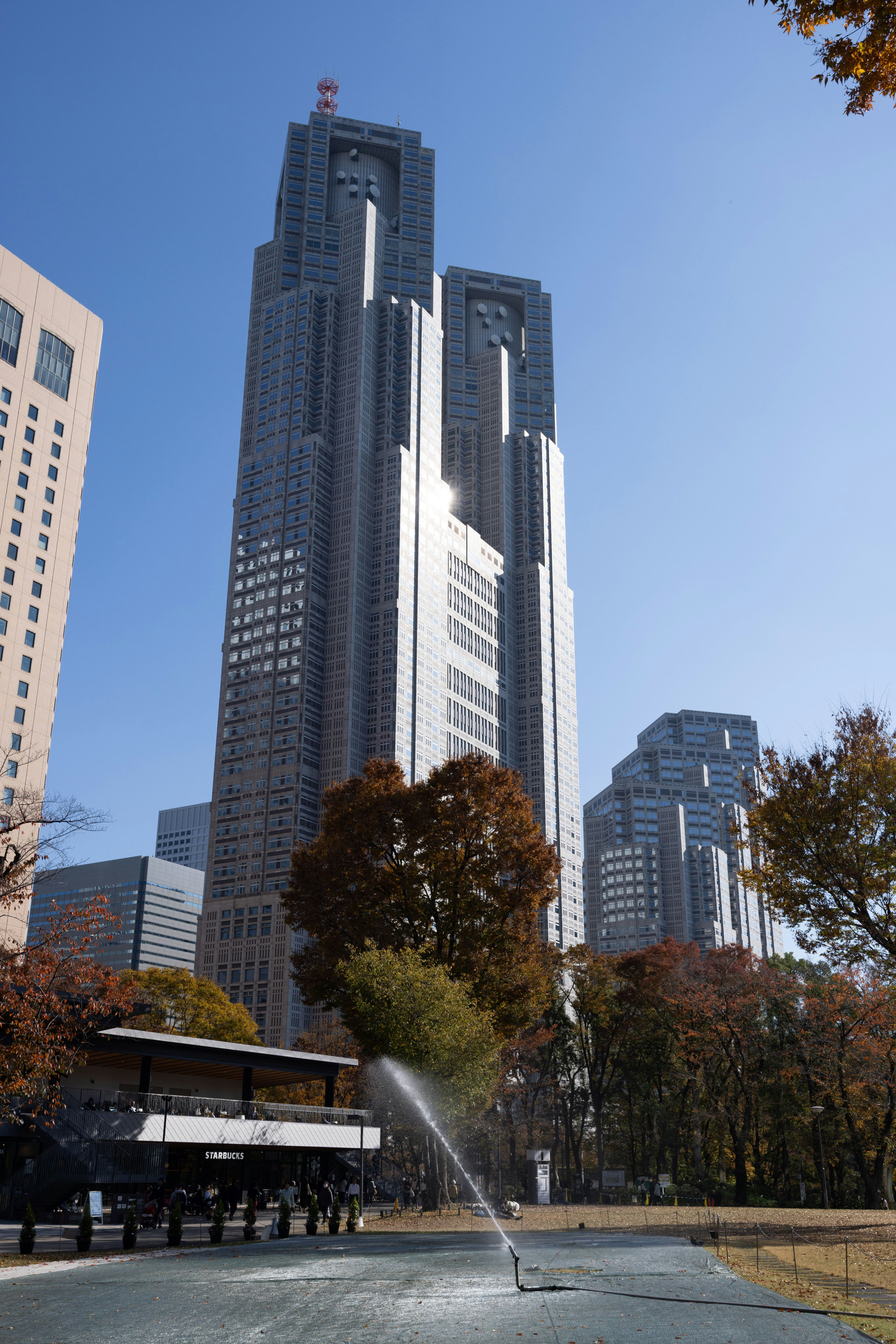 高層ビルが立ち並ぶ都市の広場と並木