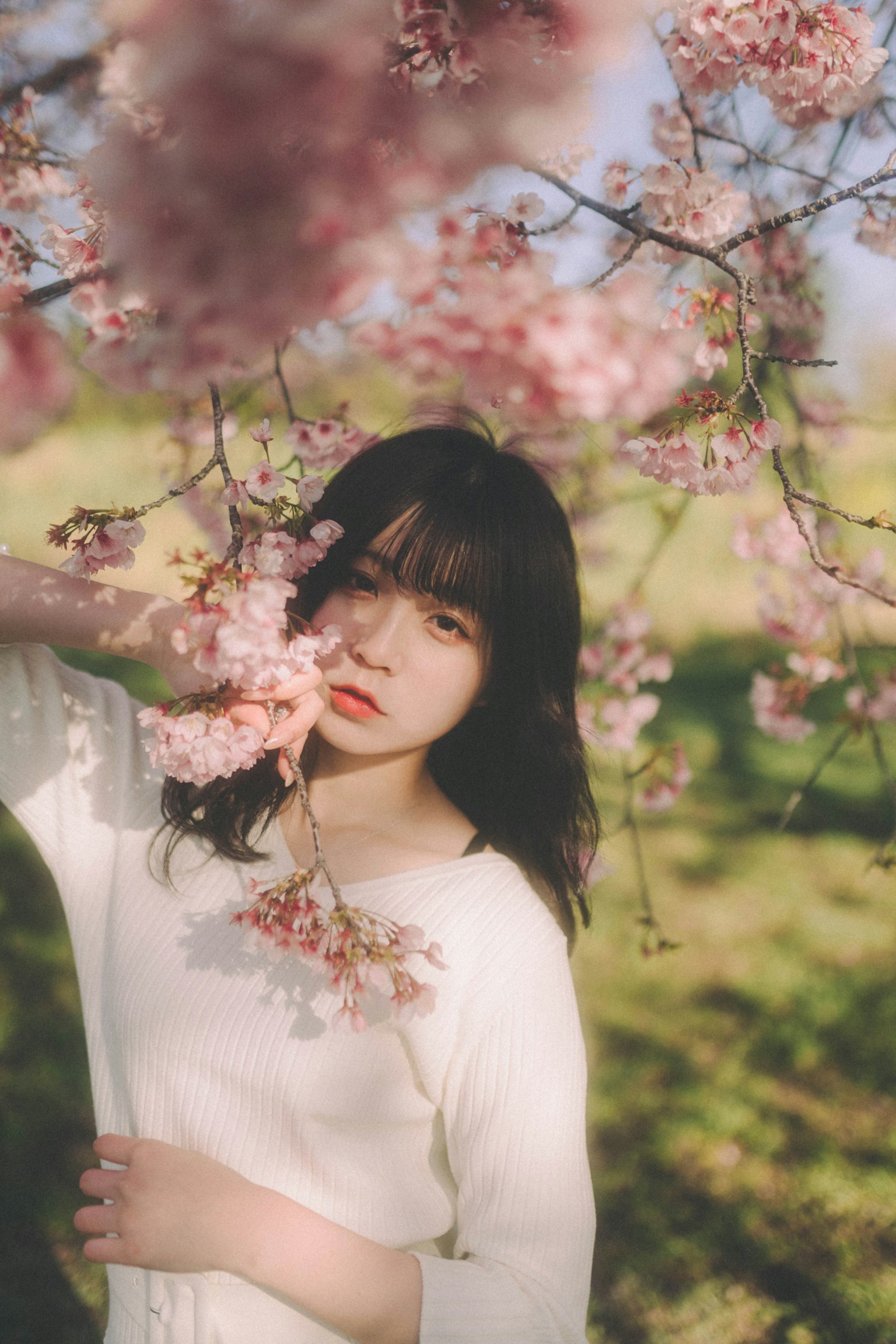 Retrato de una mujer posando bajo cerezos en flor