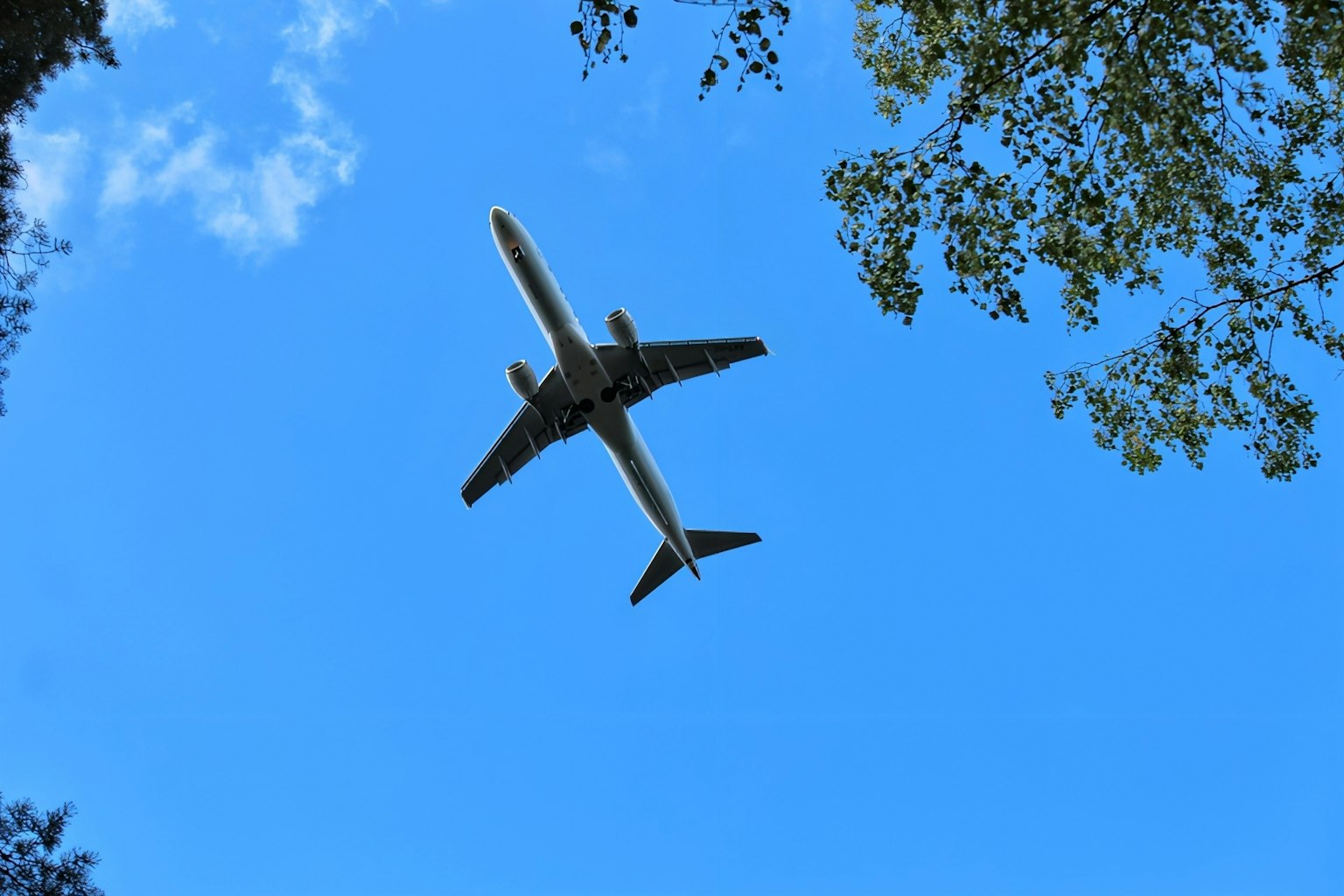 Avion volant dans un ciel bleu clair vu d'en bas entouré d'arbres