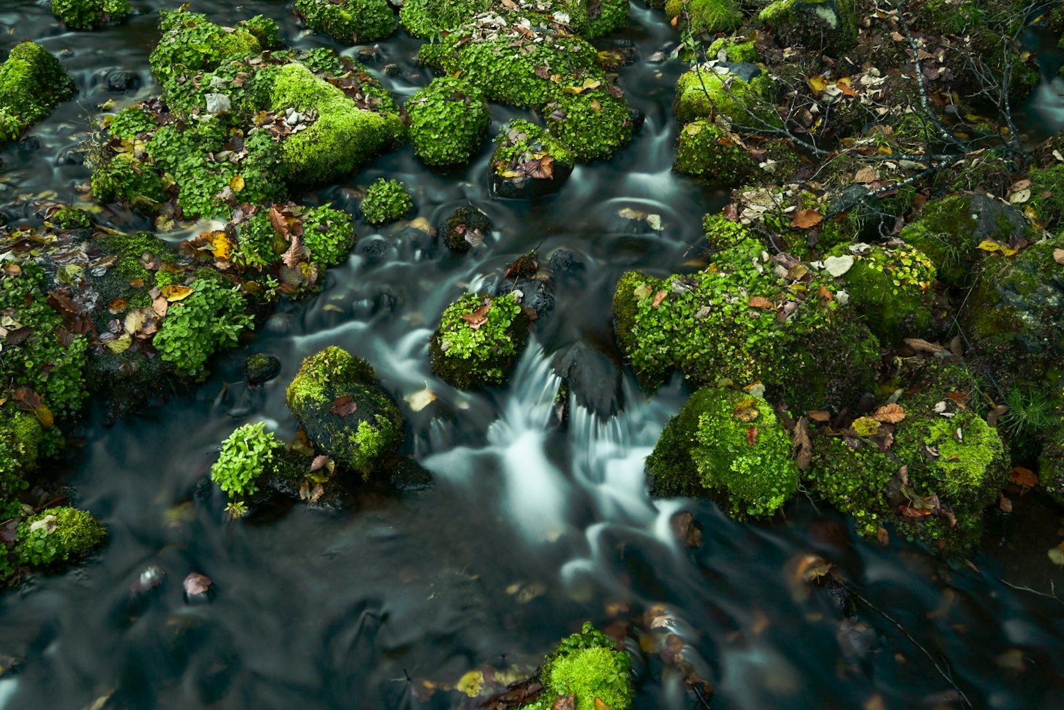 緑の苔に覆われた岩と流れる水の景色