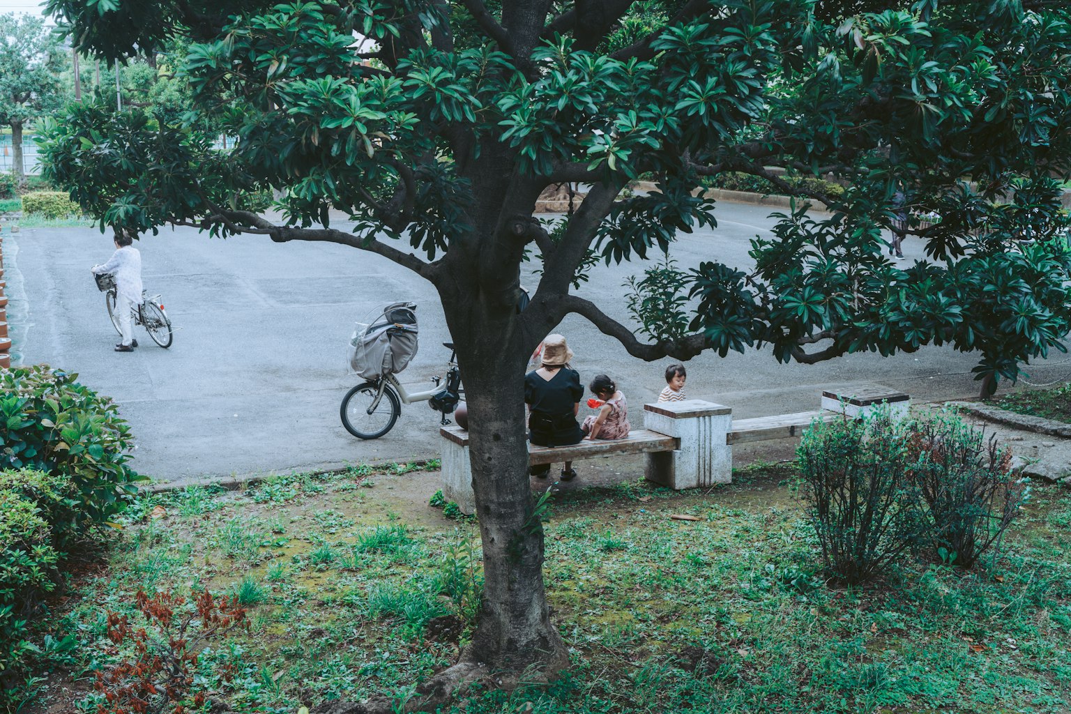 photo-RCAnBDM3XputIxK2dxMv-image