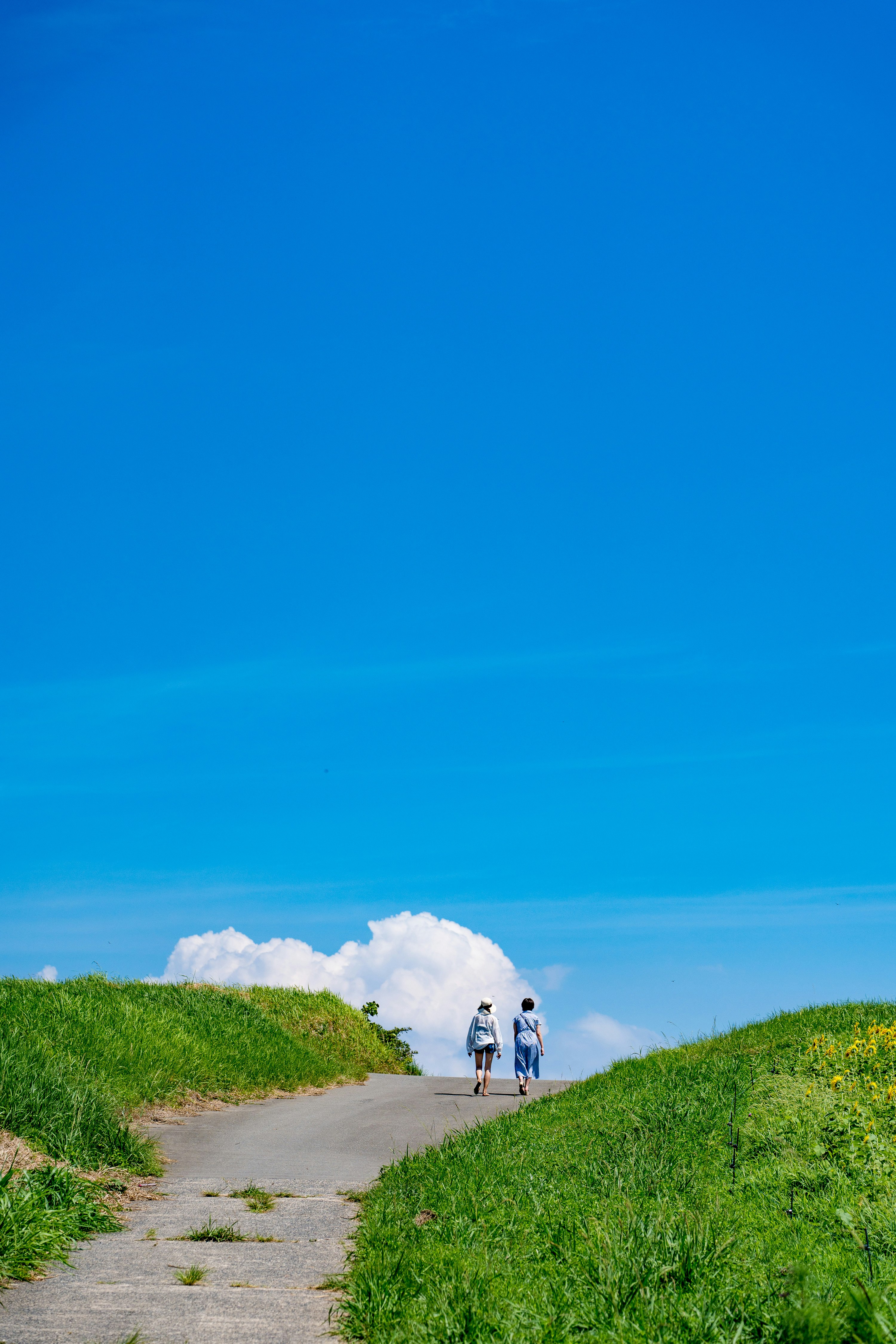 草の丘の小道を歩く人々のある風景