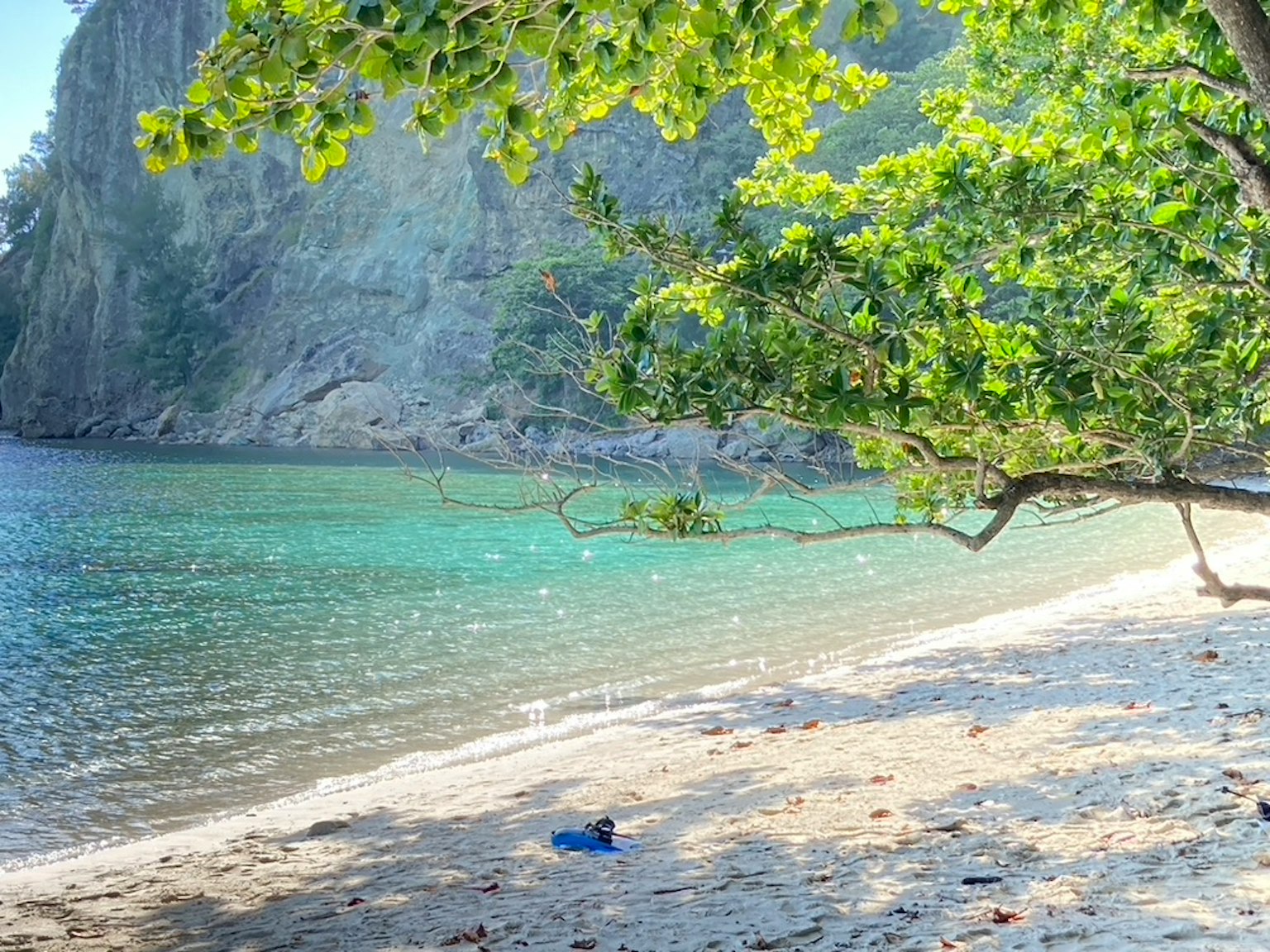 Bellissima scena di spiaggia con acqua turchese e alberi verdi