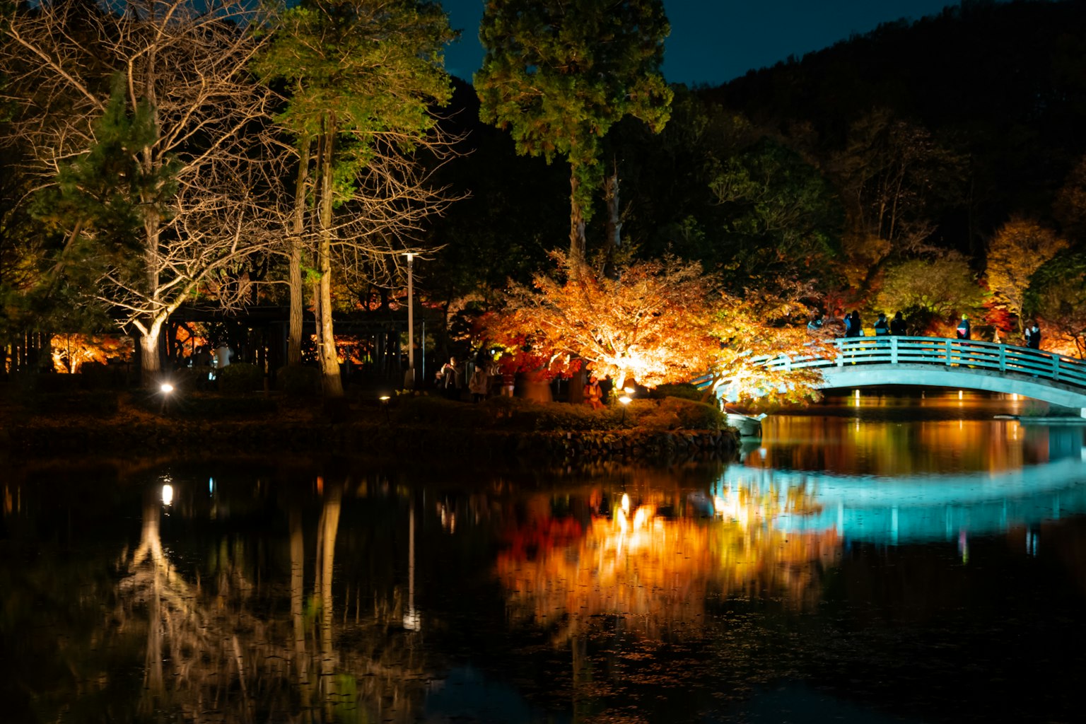 ฉากกลางคืนที่มีสะพานสีน้ำเงินและต้นไม้ที่ส่องสว่างสะท้อนอยู่ในทะเลสาบ
