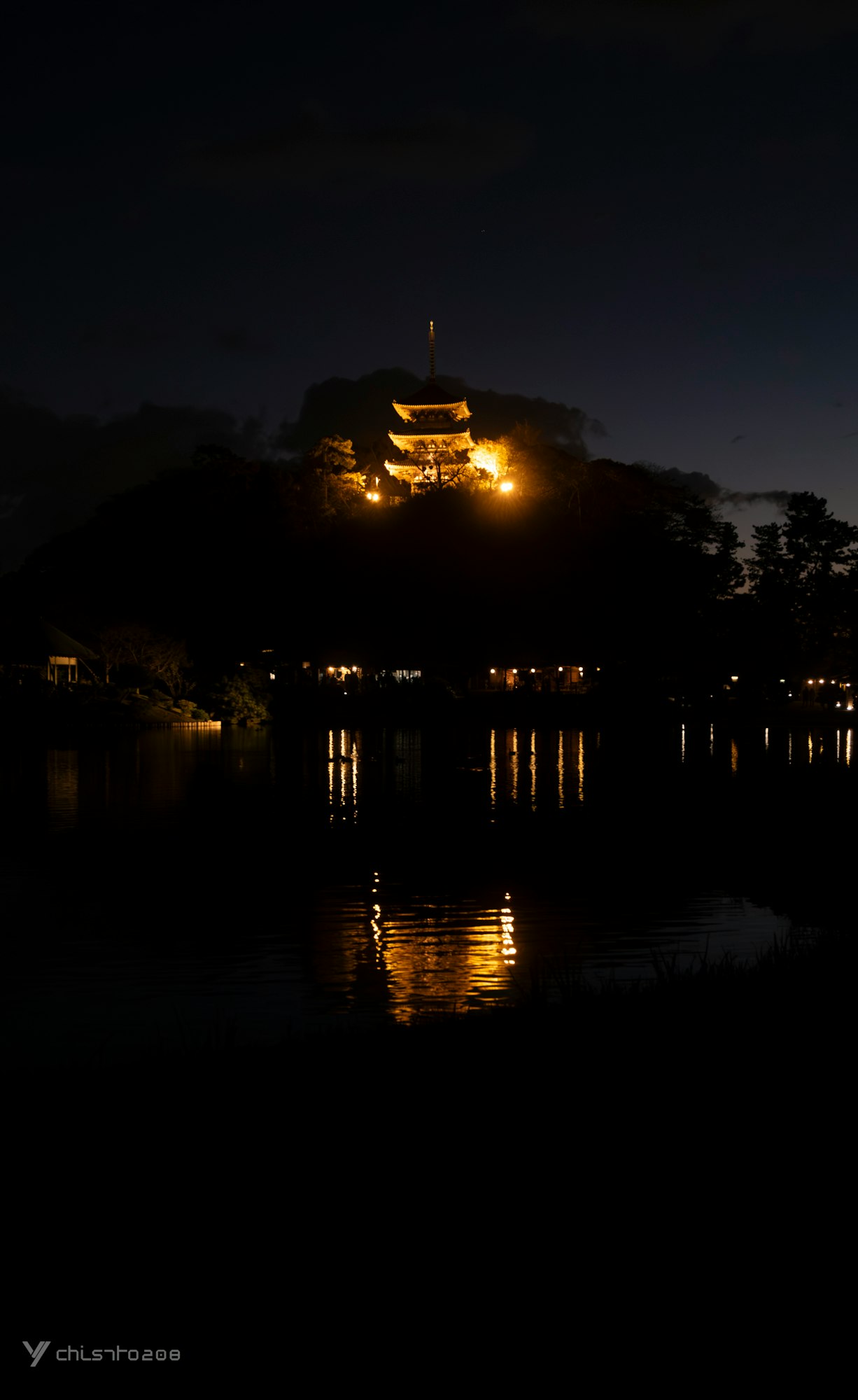 湖面に映る夜のライトアップされた城のシルエット