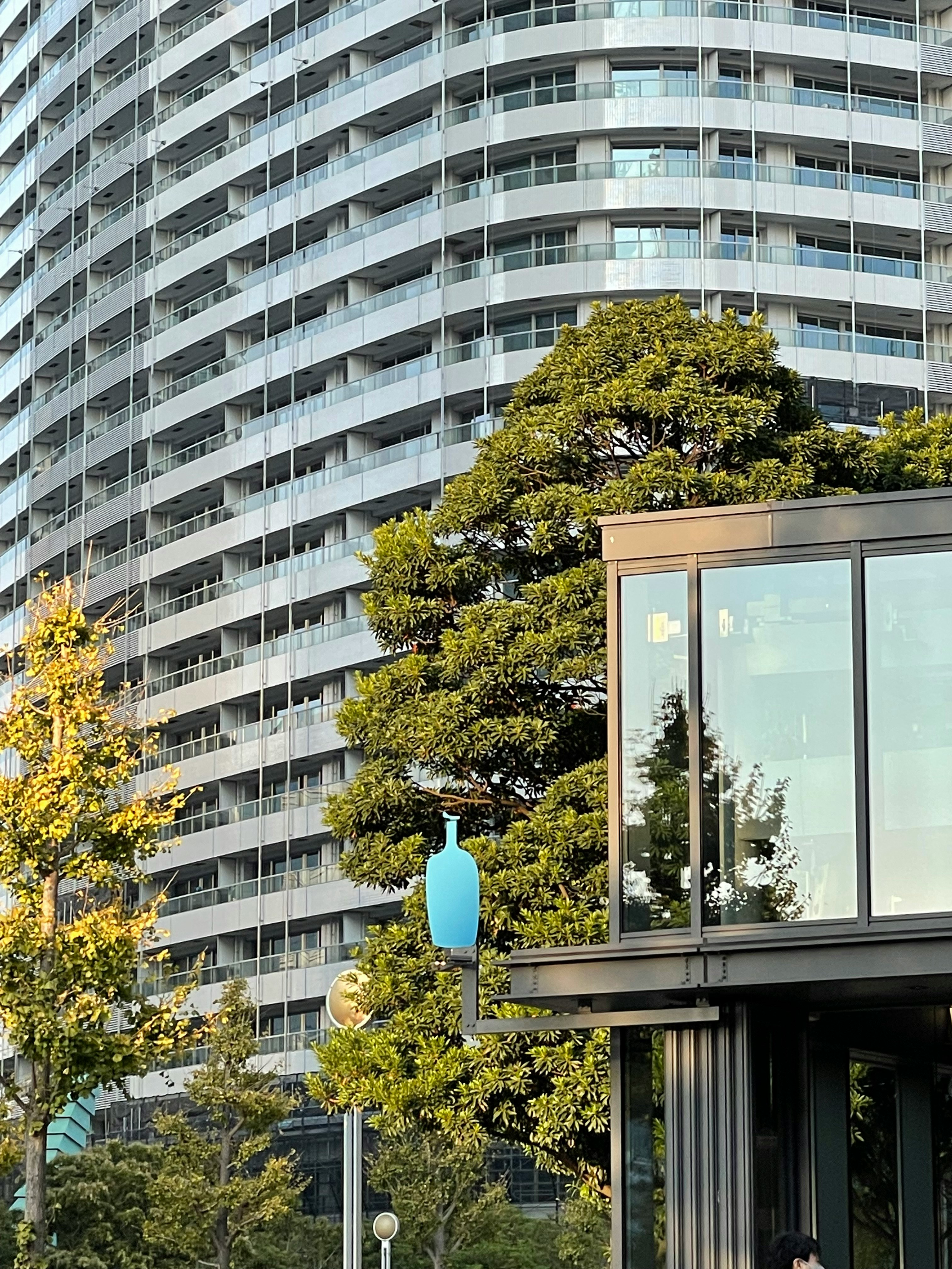 grattacielo e verde del cortile davanti a un ingresso vetrato
