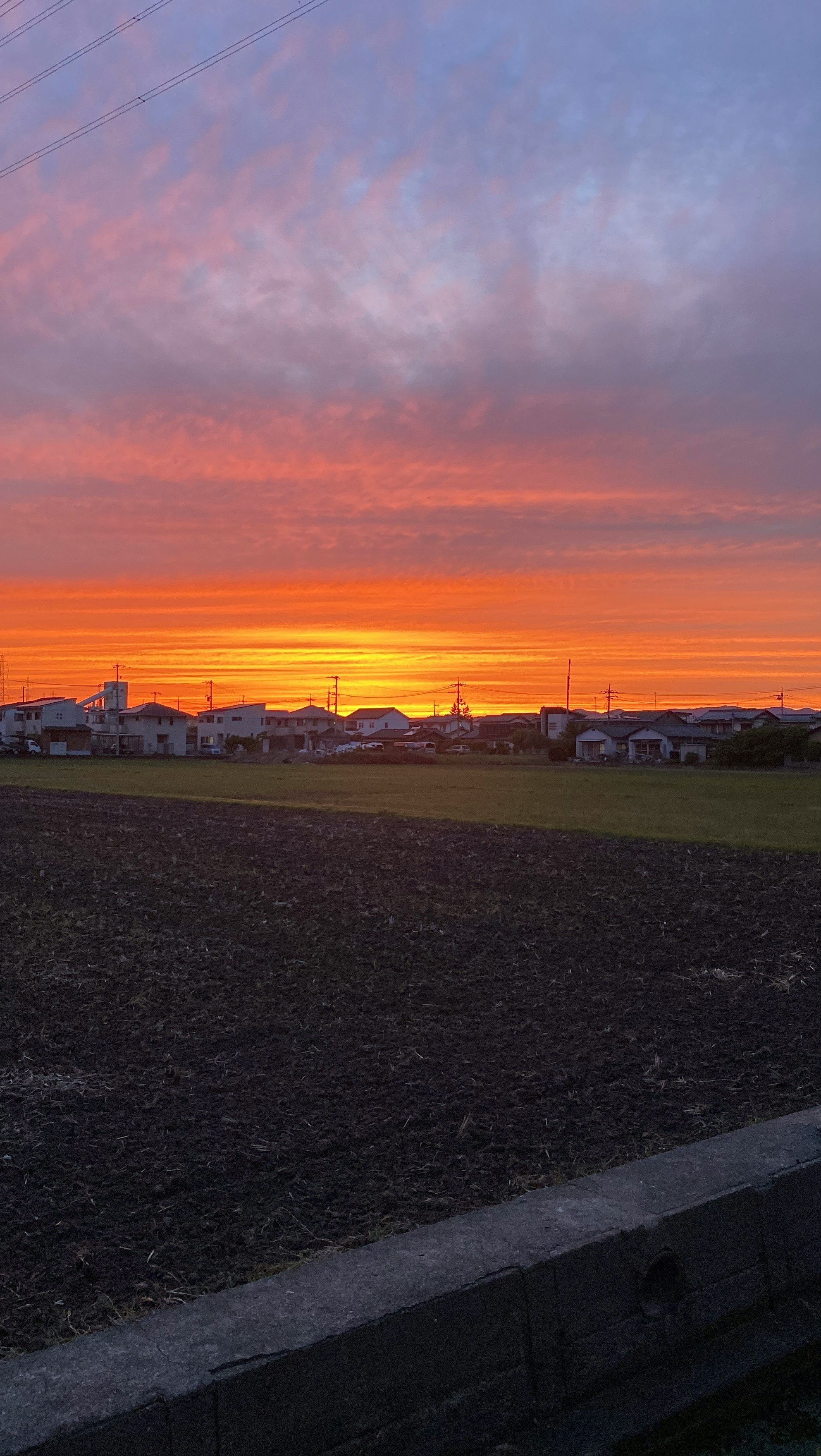 夕焼けの空と広がる田畑の風景