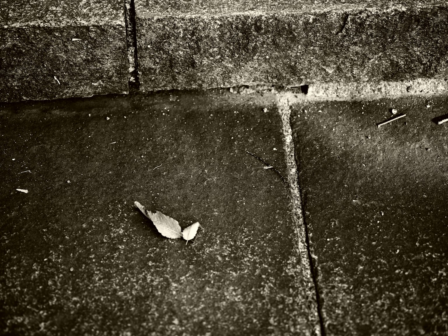 photo-RDos3h6I3r5qPj9CI8PY-image